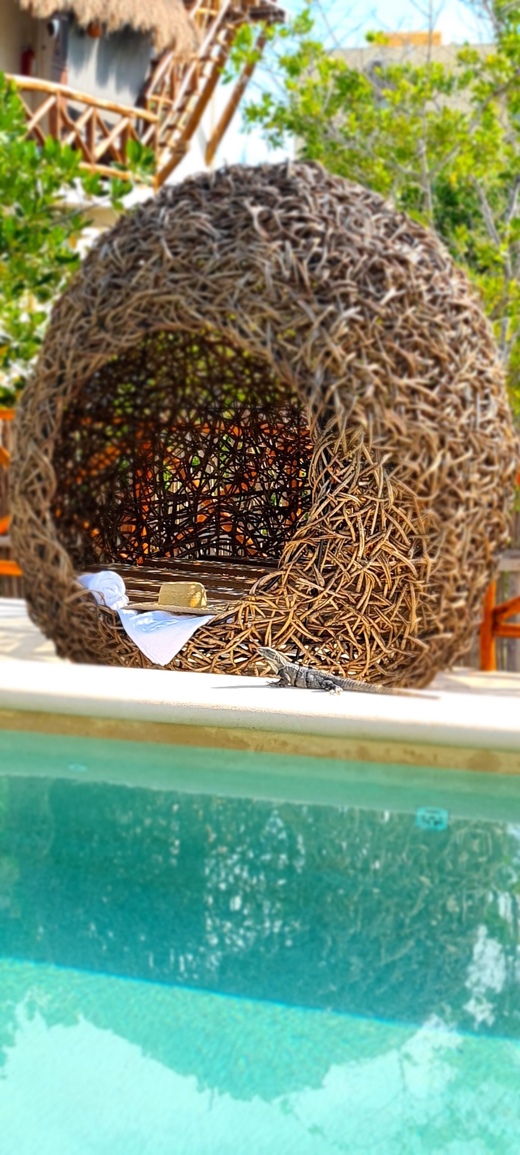 Sanyama Holbox