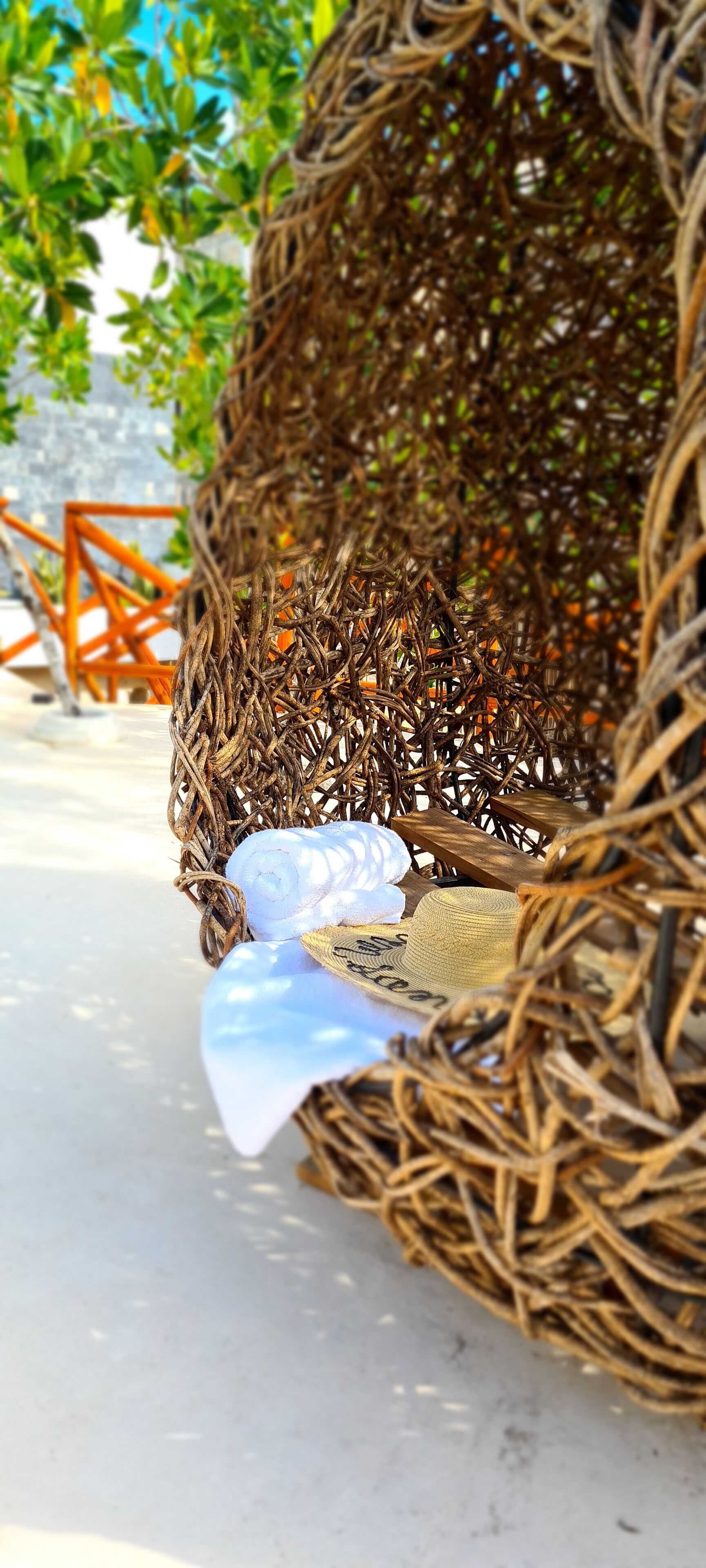 Sanyama Holbox