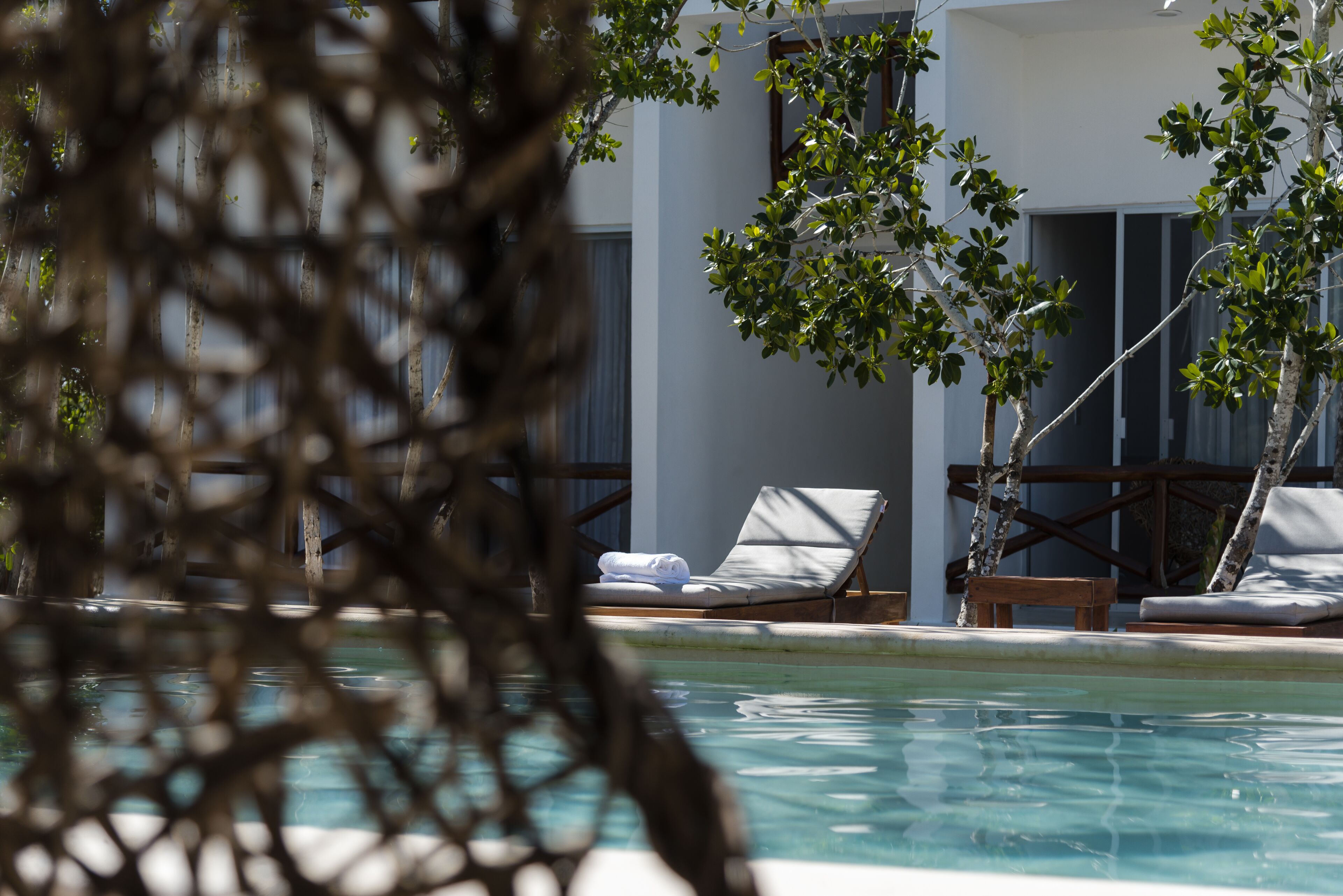 Sanyama Holbox
