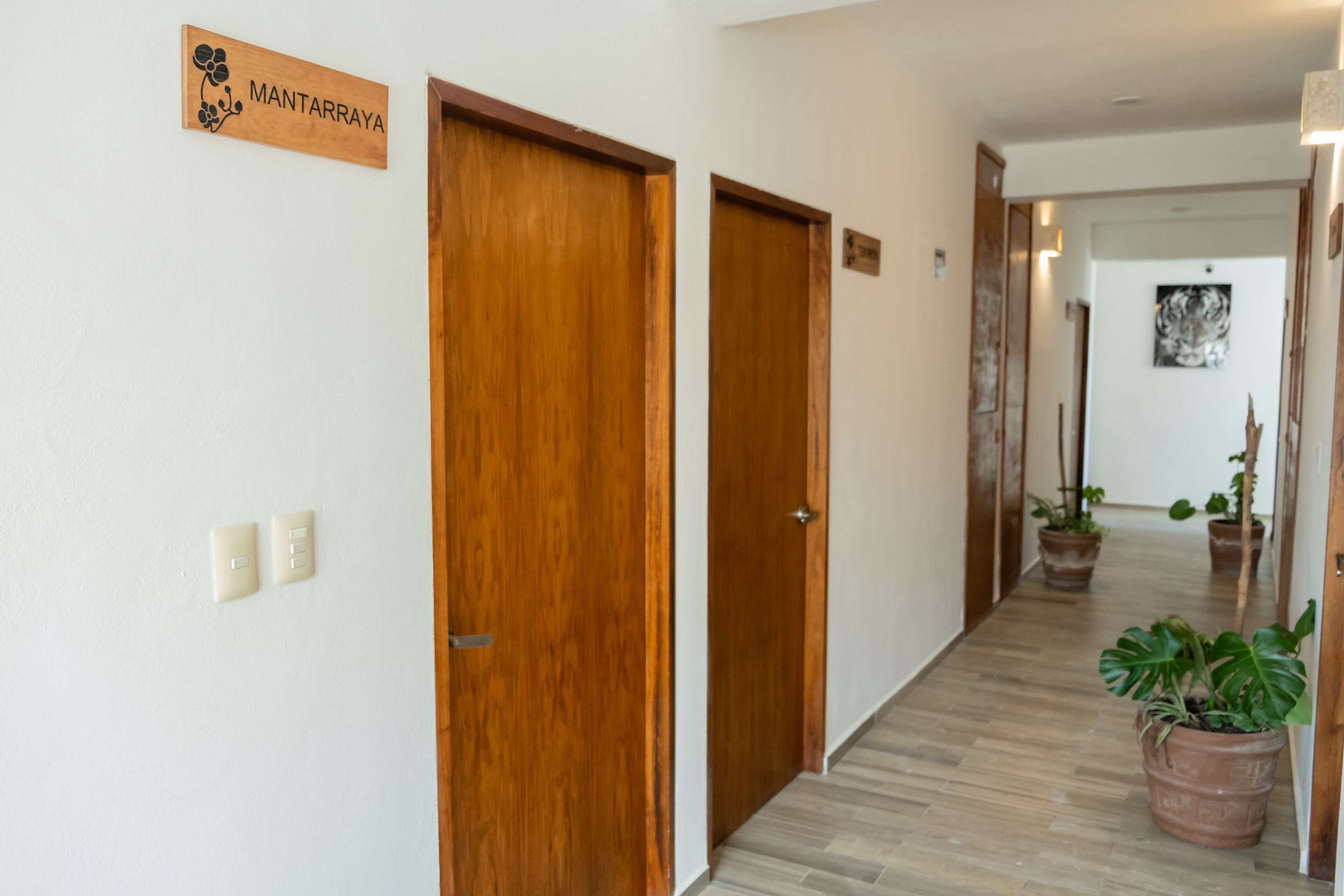Suites Pelicano Holbox