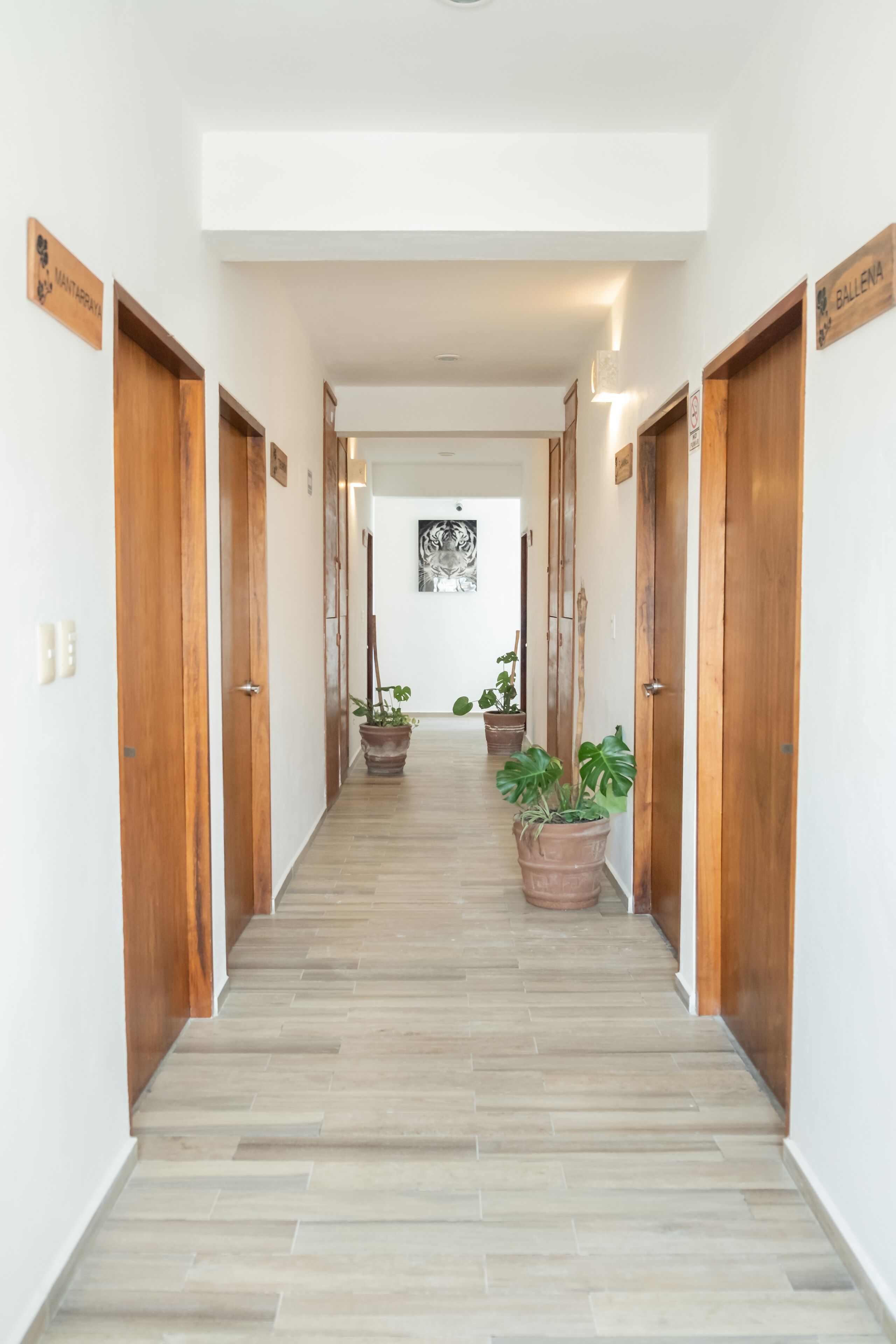 Suites Pelicano Holbox