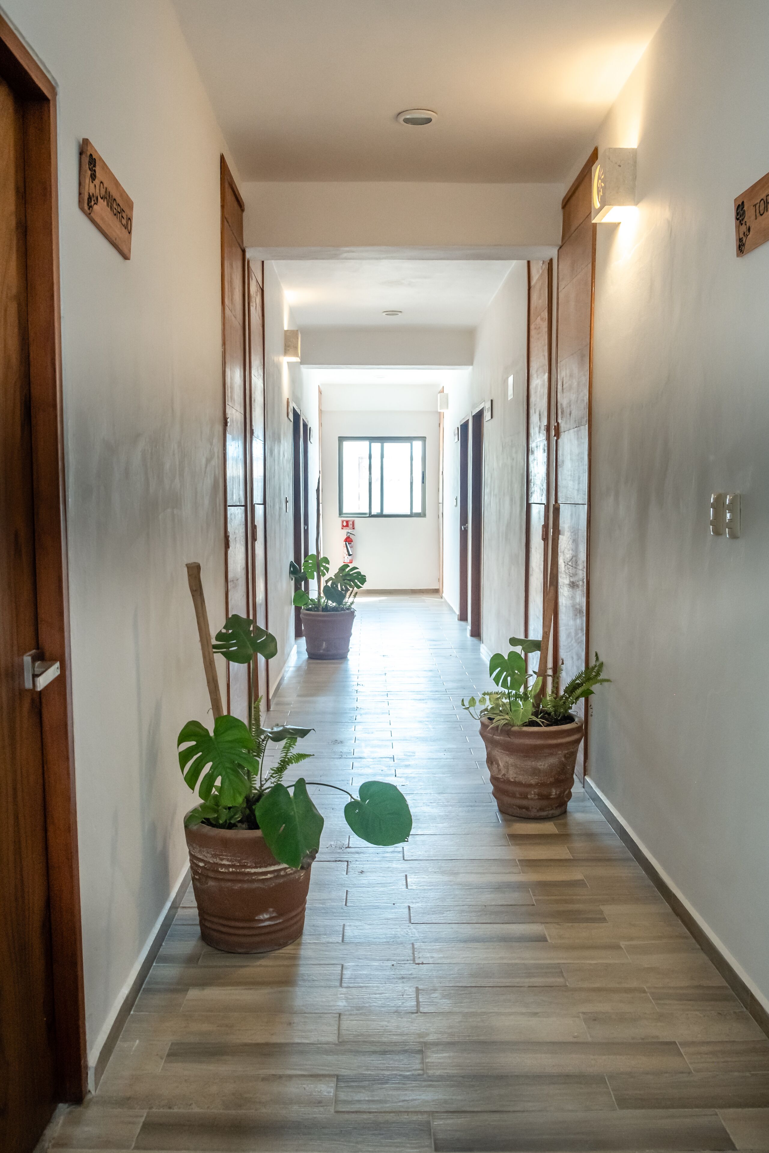 Suites Pelicano Holbox