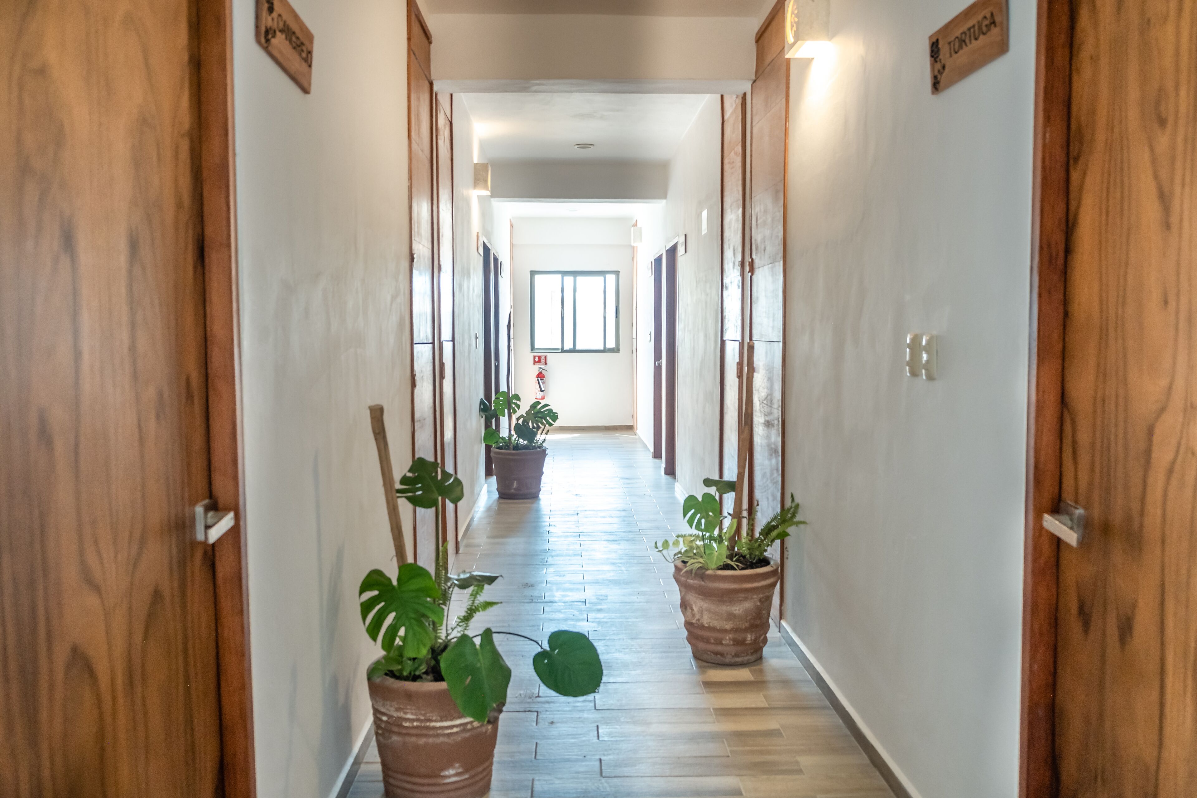 Suites Pelicano Holbox