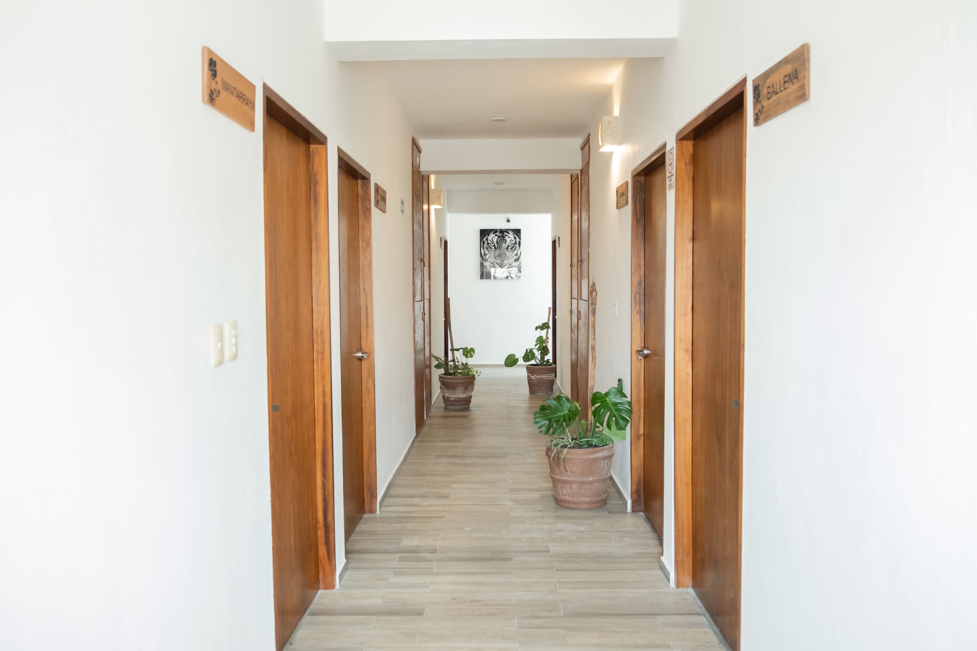 Suites Pelicano Holbox