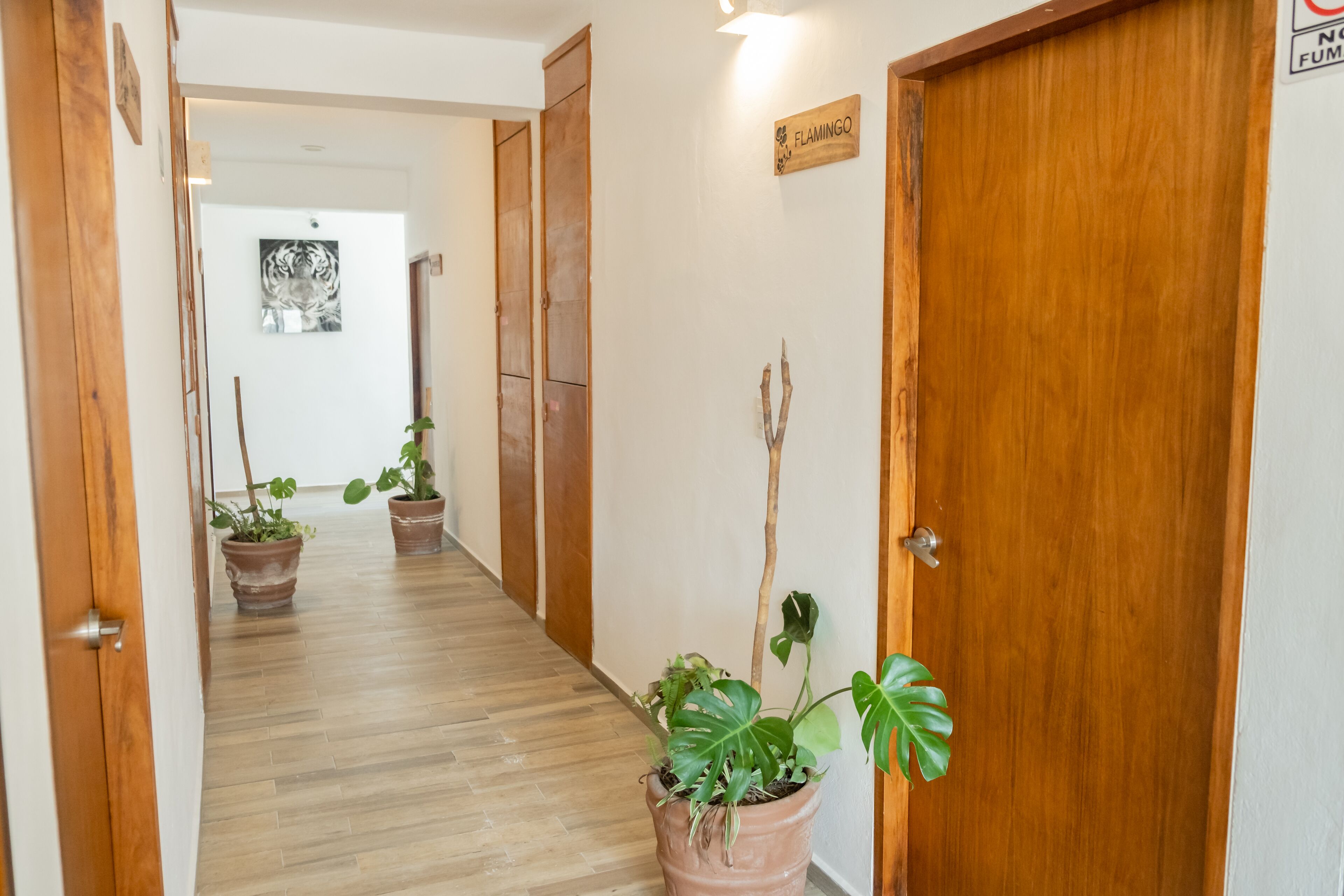 Suites Pelicano Holbox