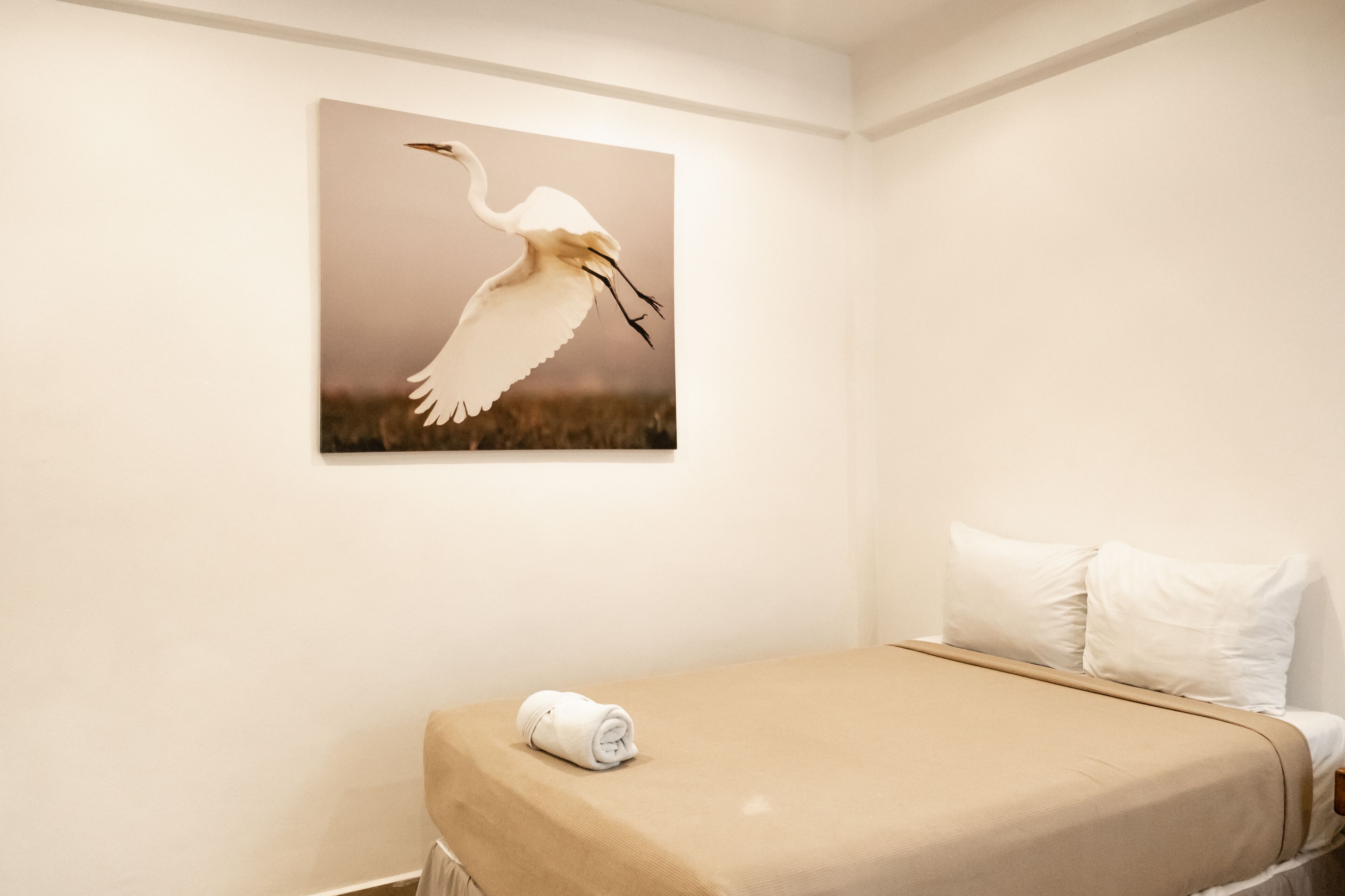 Suites Pelicano Holbox