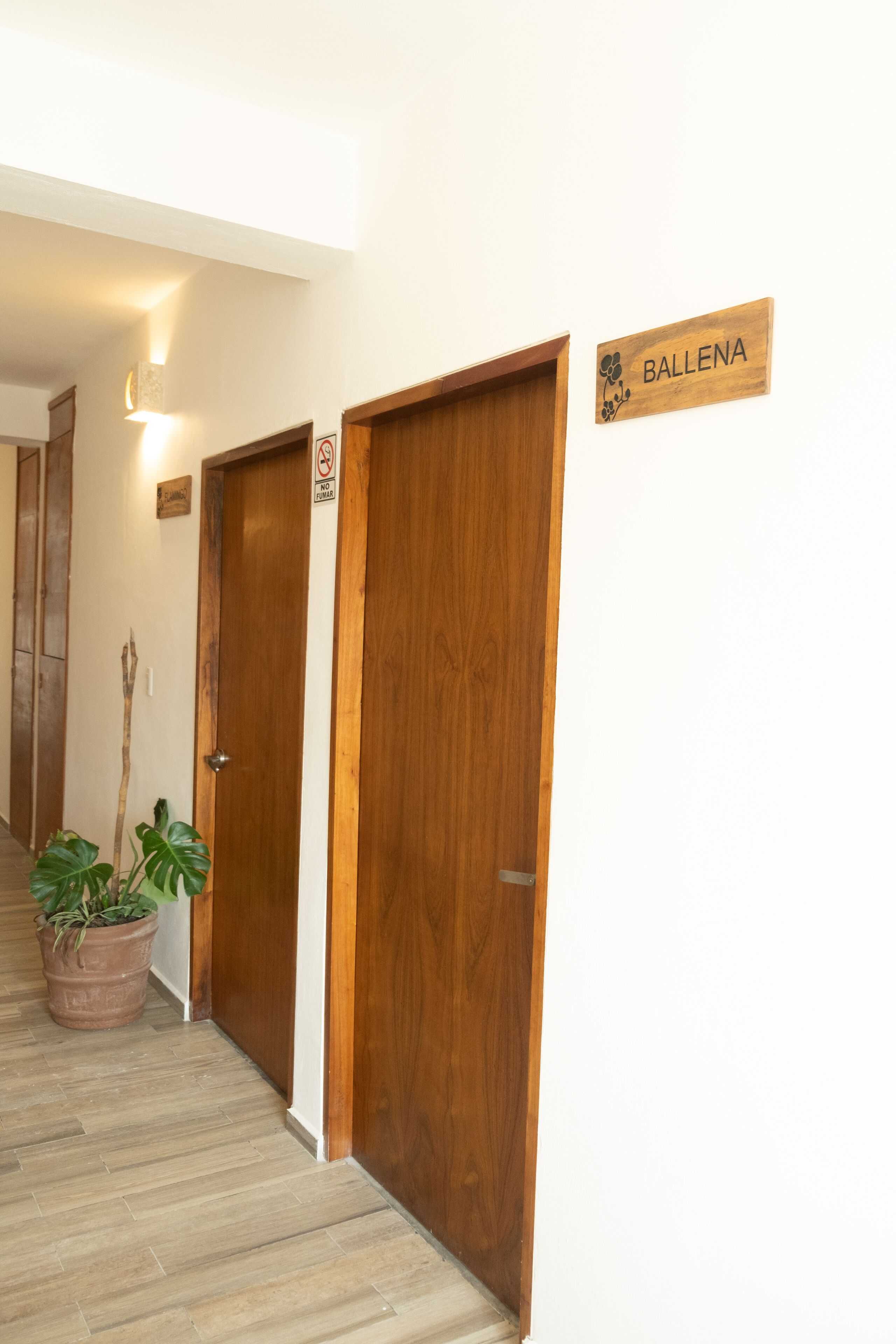 Suites Pelicano Holbox