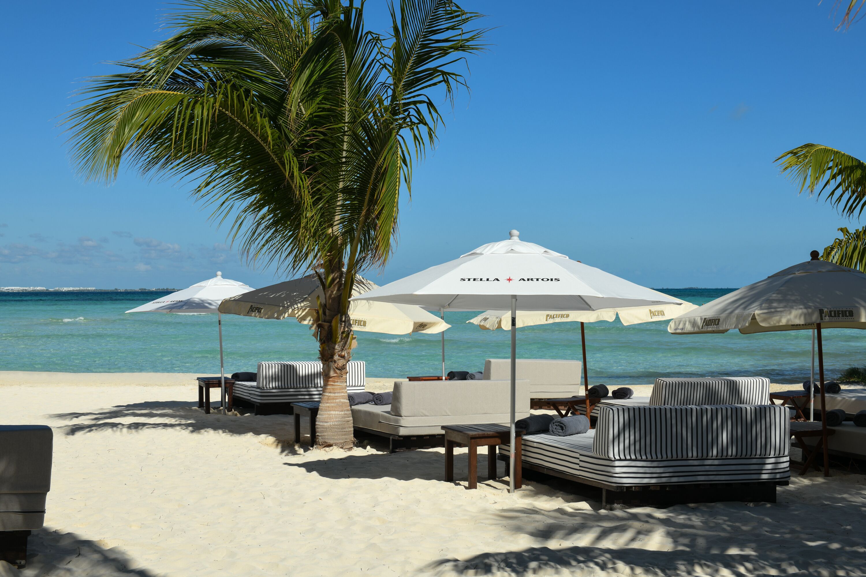 Casa del Jaguar Beach Hotel