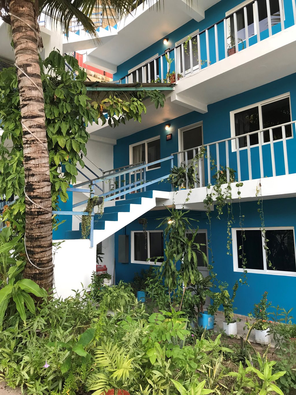 Blue Coconut Cancun