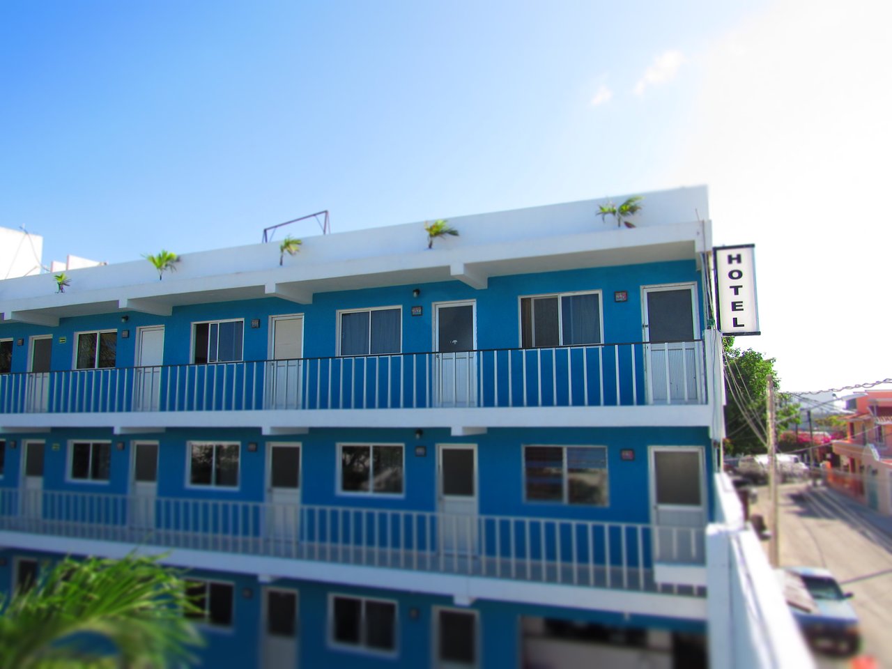 Blue Coconut Cancun