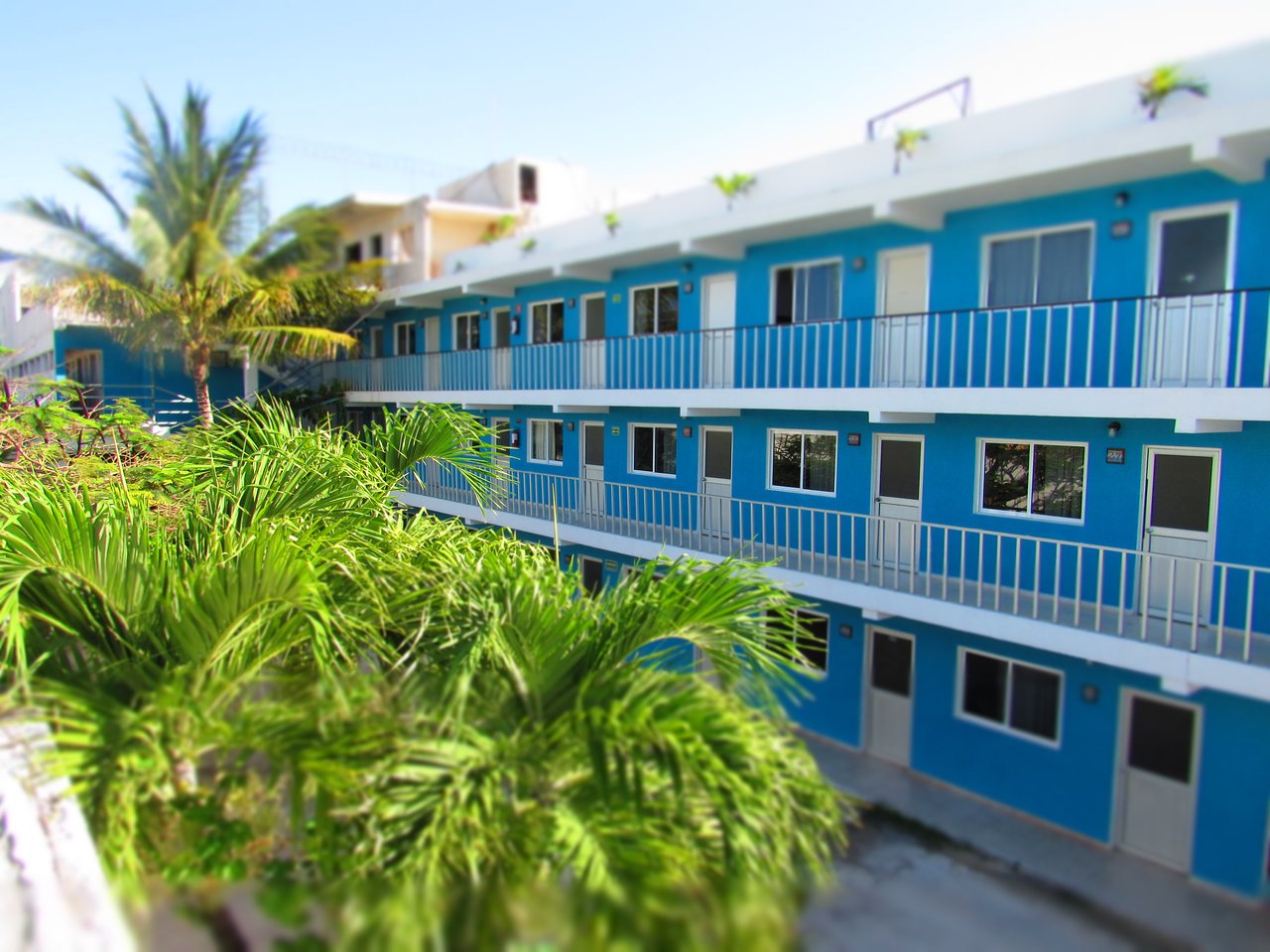 Blue Coconut Cancun