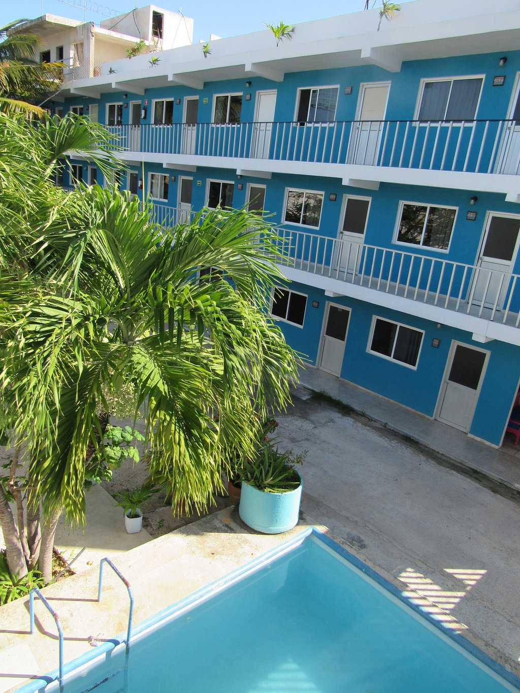 Blue Coconut Cancun