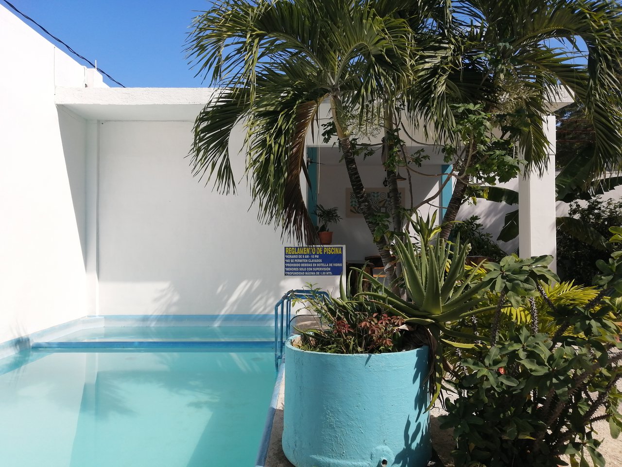 Blue Coconut Cancun