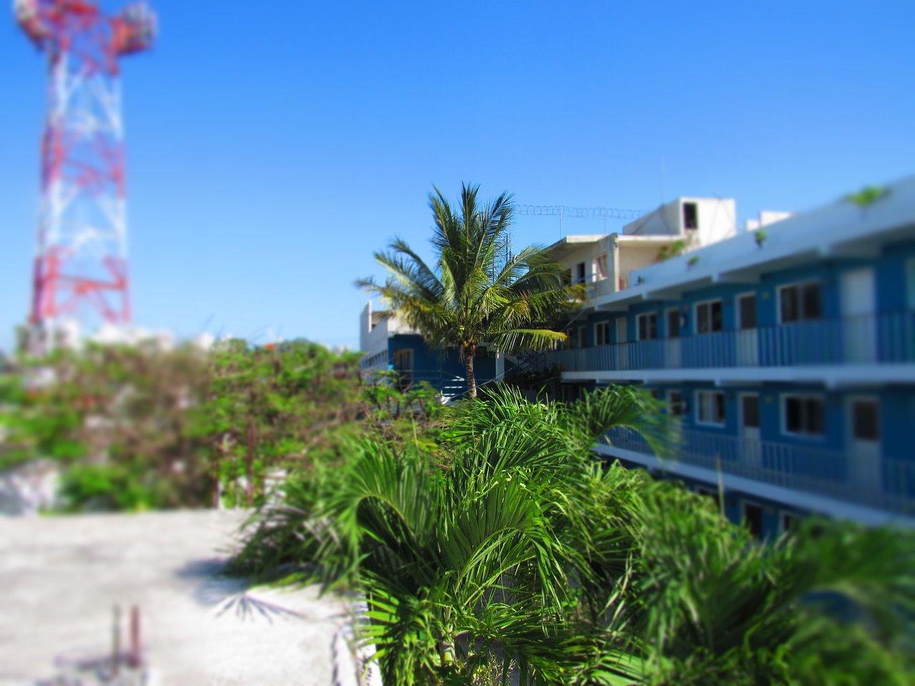 Blue Coconut Cancun