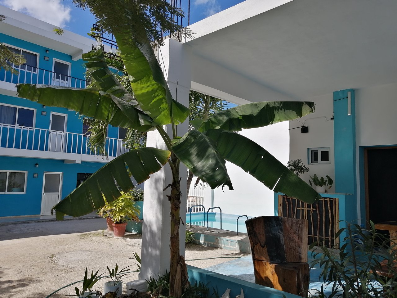 Blue Coconut Cancun