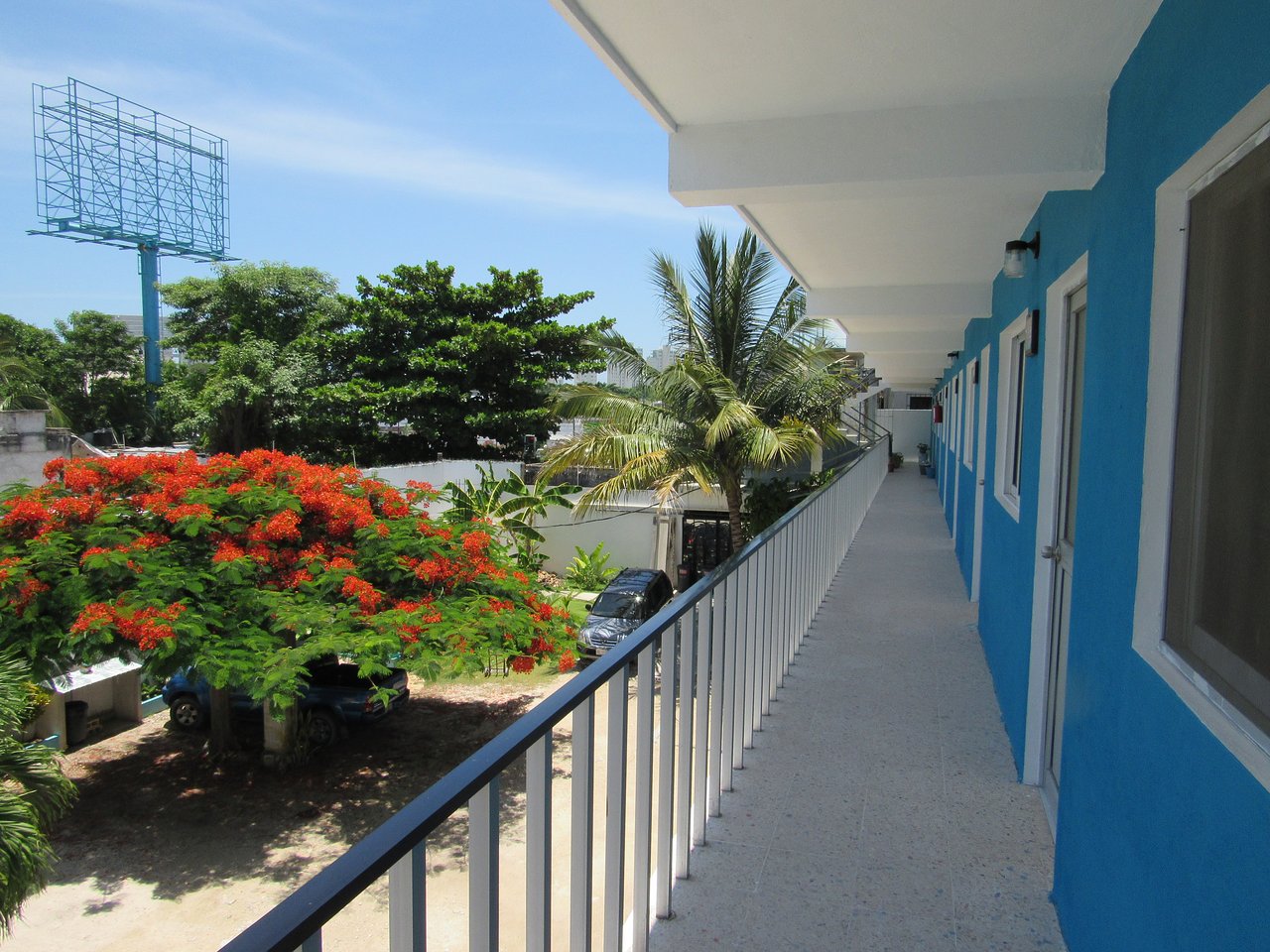 Blue Coconut Cancun