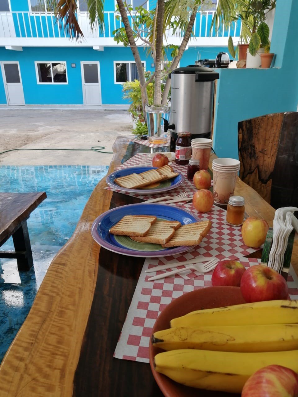 Blue Coconut Cancun