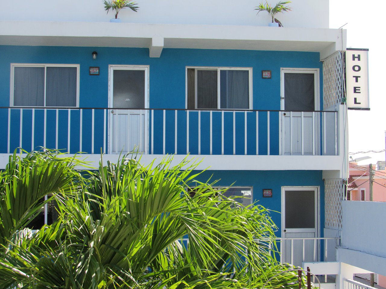 Blue Coconut Cancun
