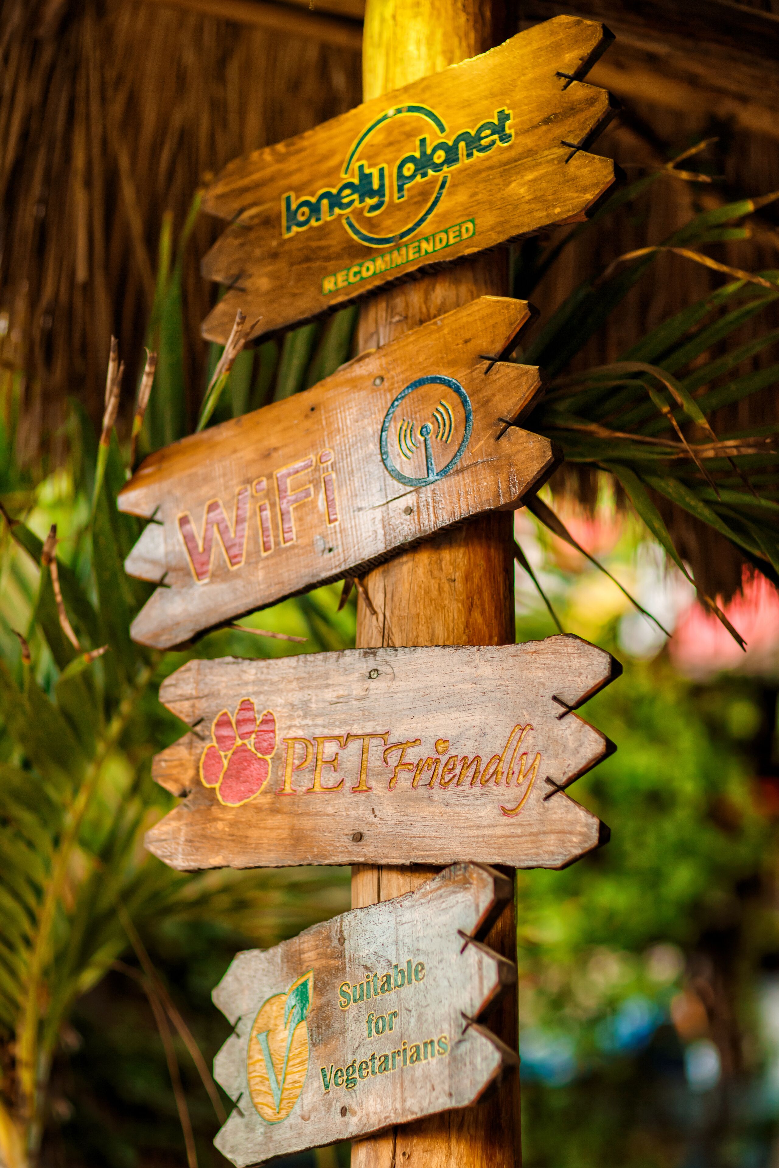 Hostel Natura
