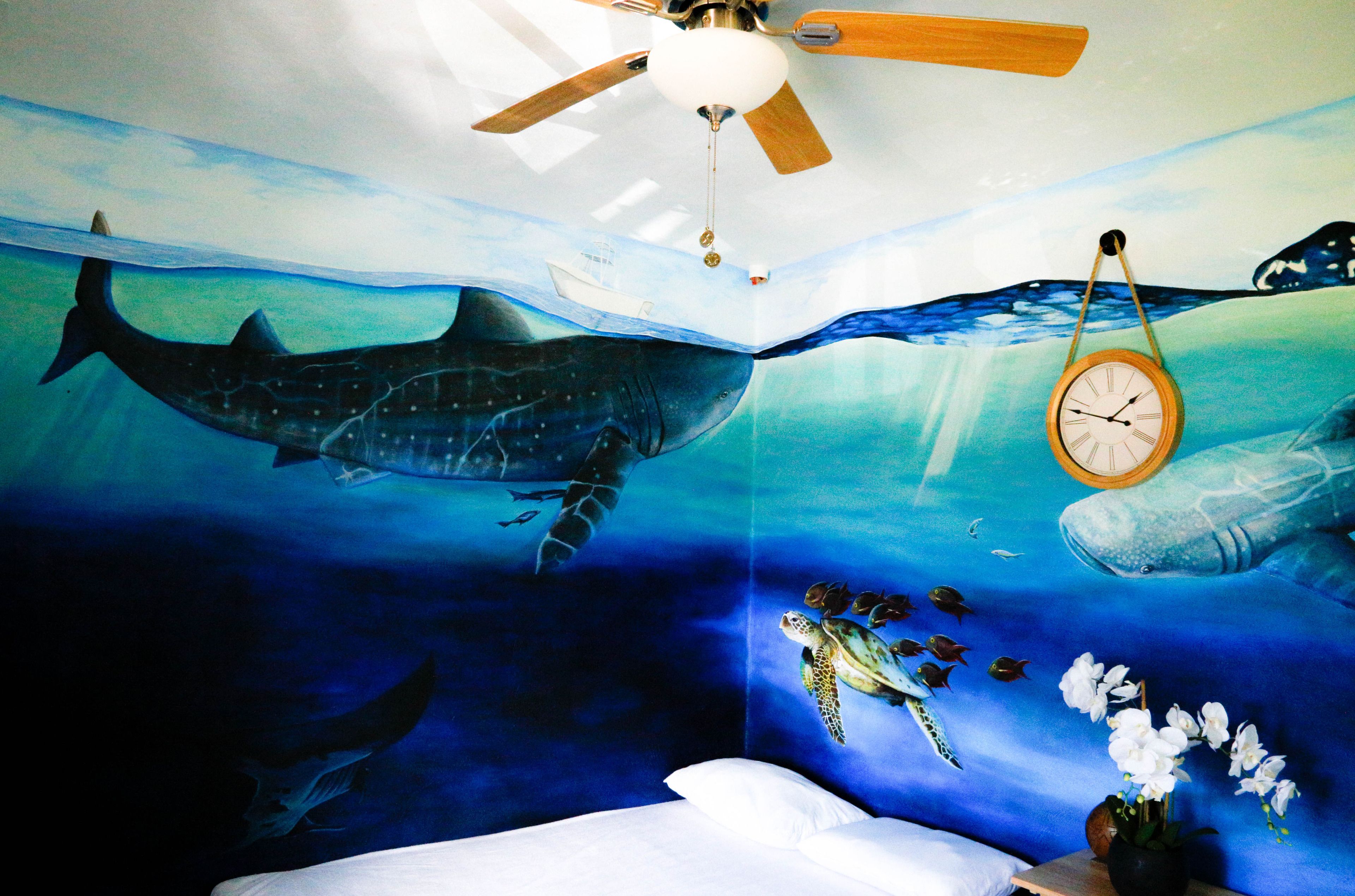 Hostel Natura