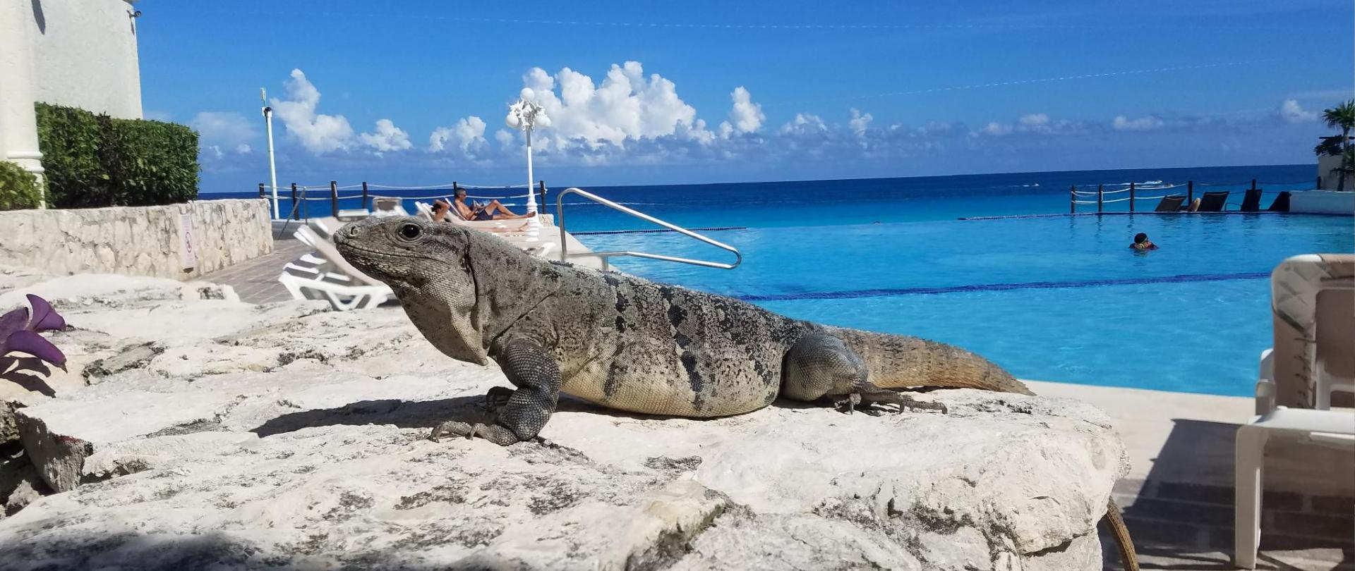 Cancun Plaza Condo Hotel
