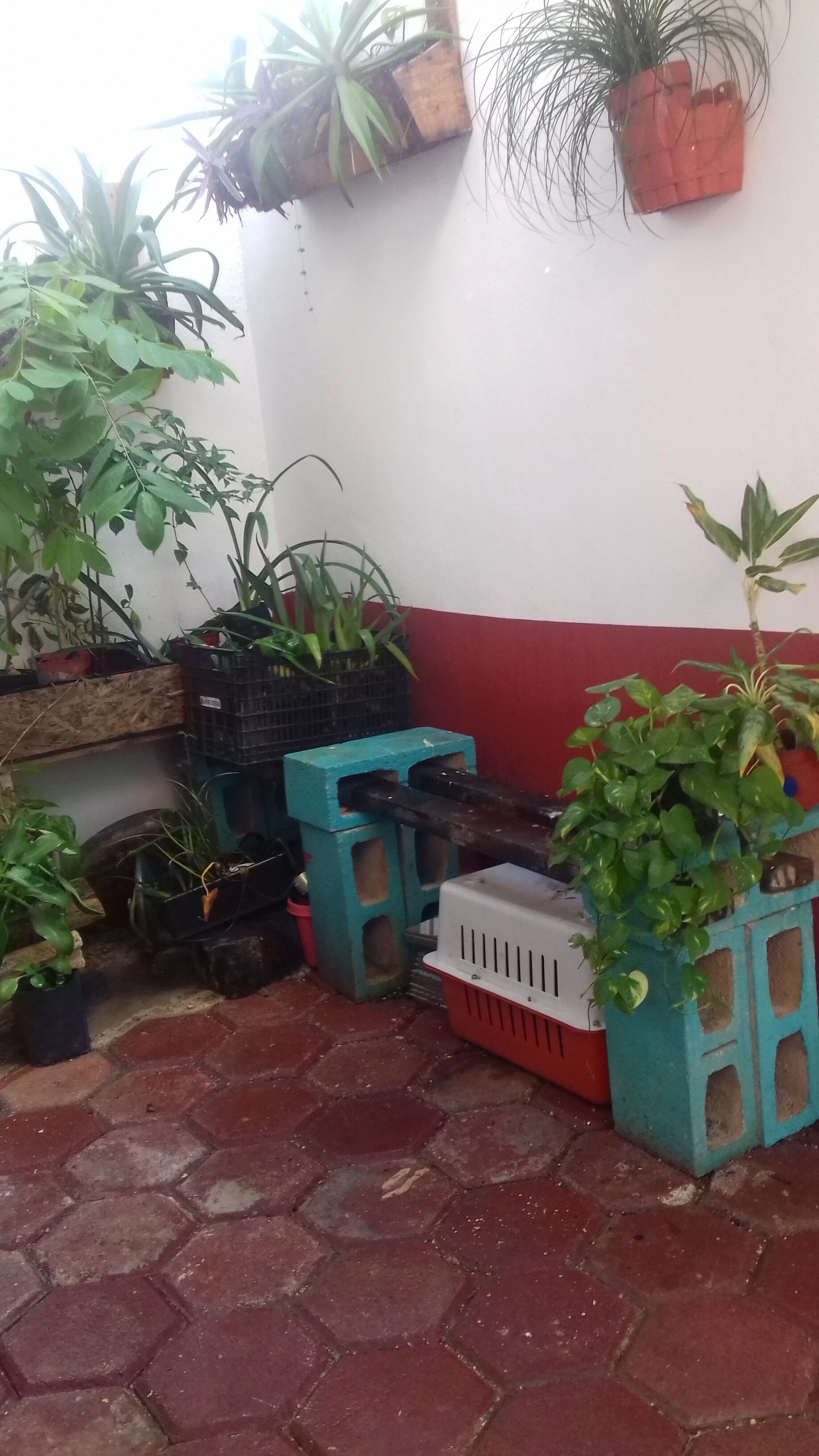 La Casita Del 28