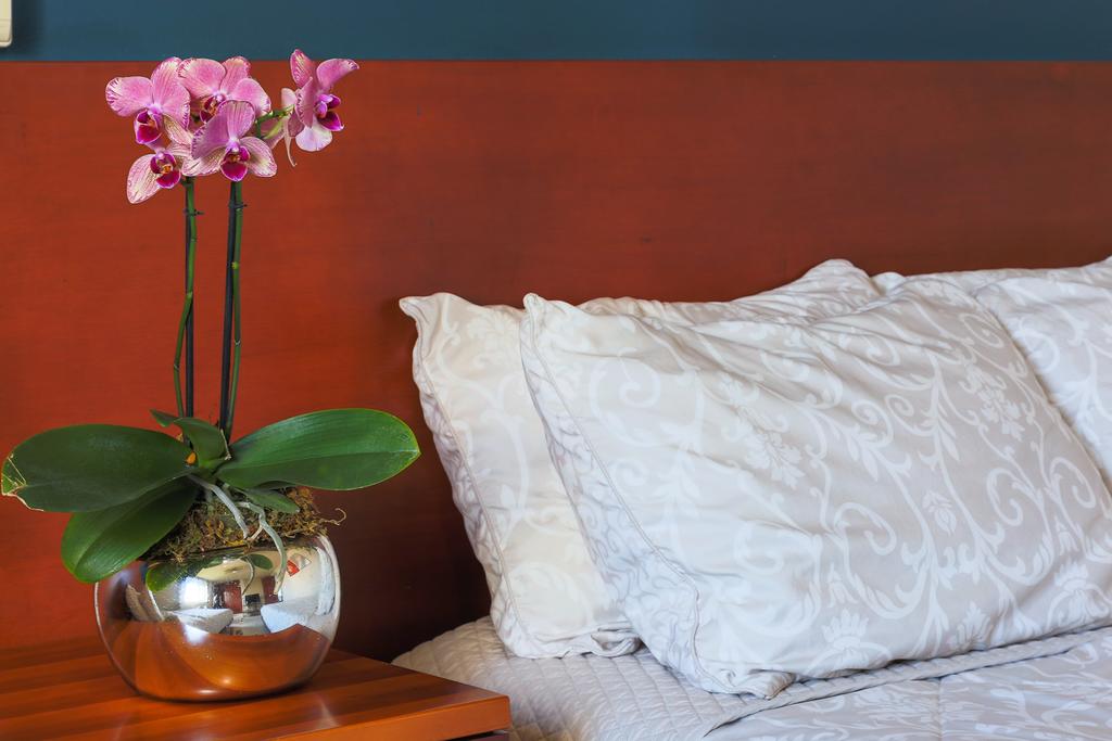 Suites Villa Italia