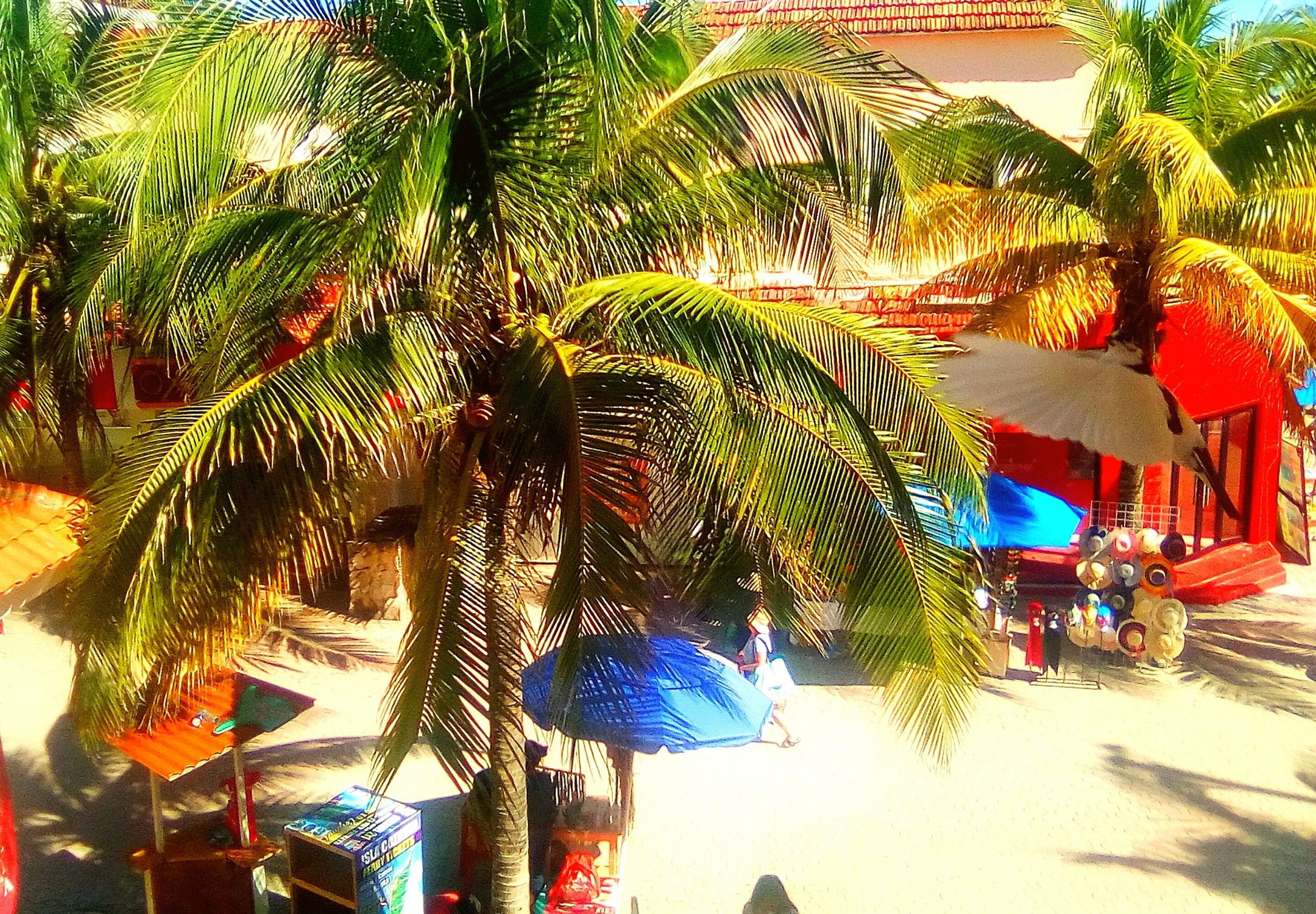 Boho Beach Hostel