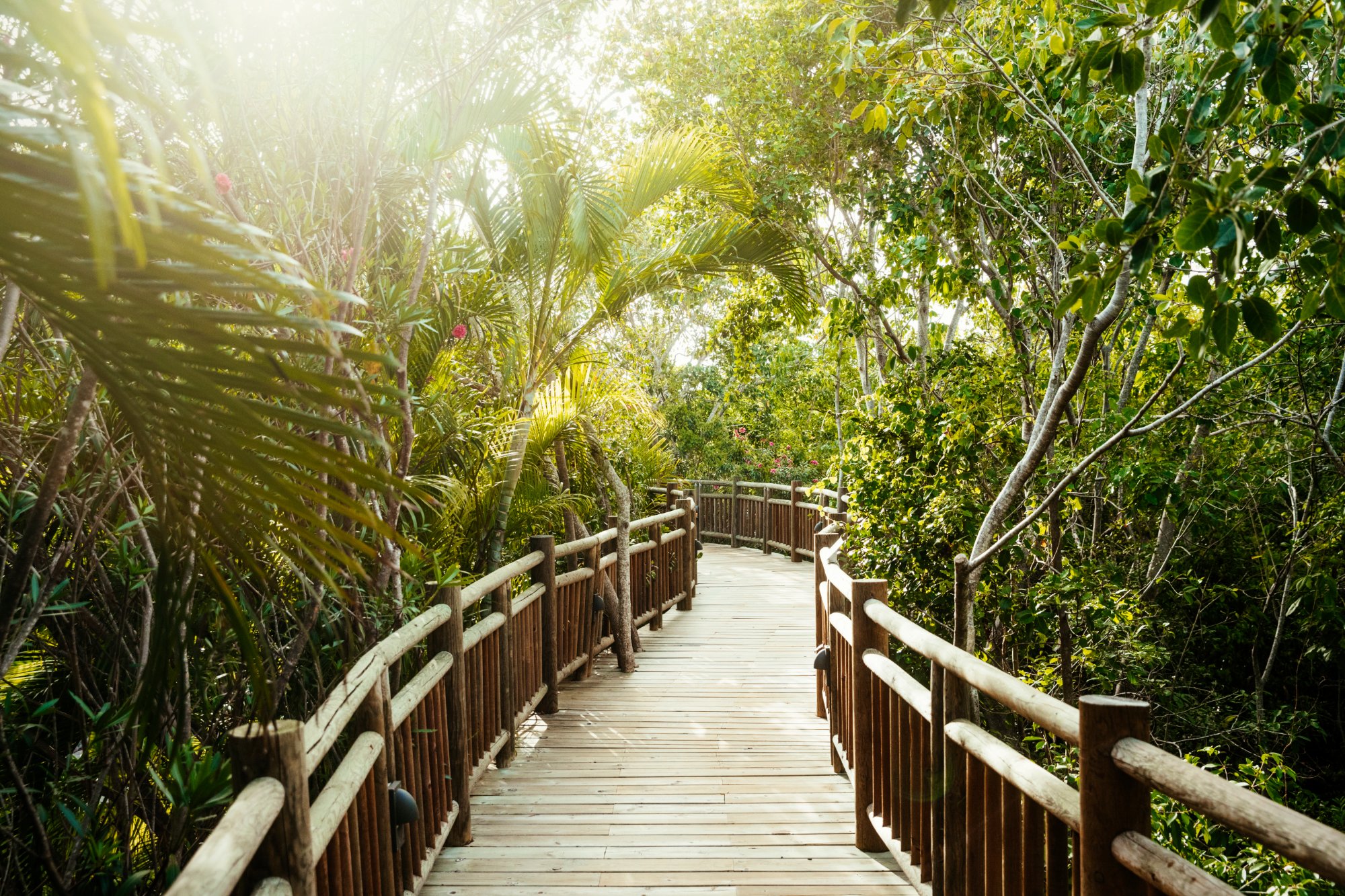 The Bliss Riviera Maya