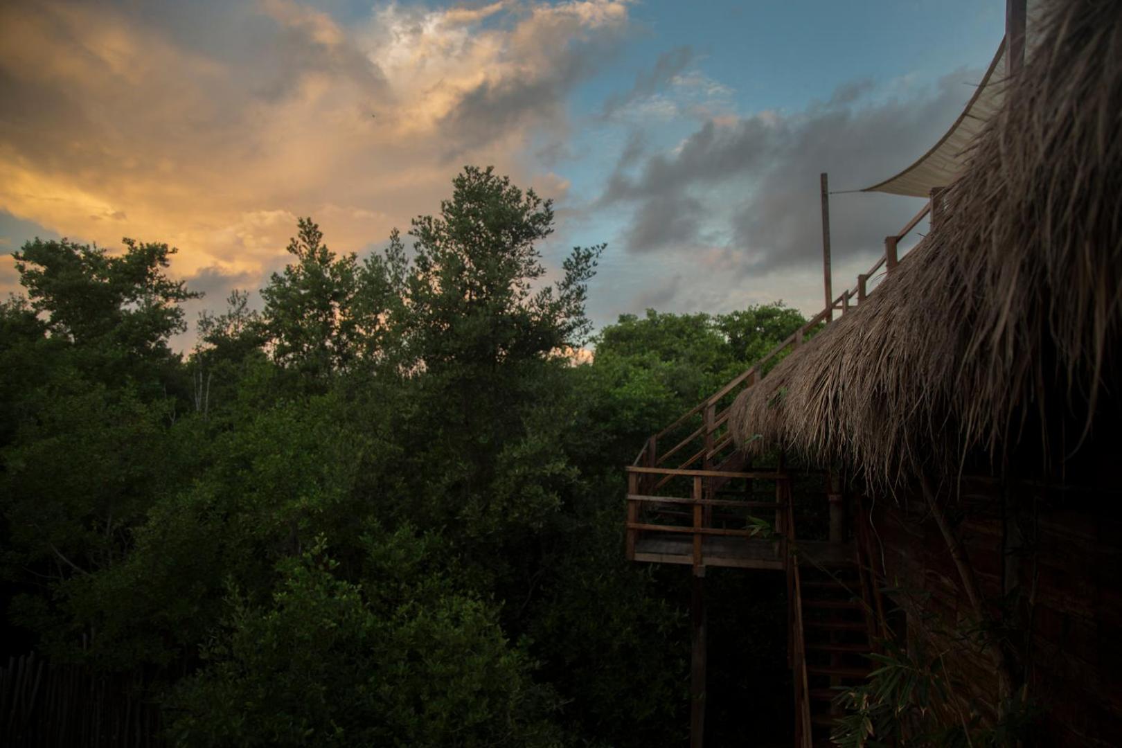 Amor Rooms
