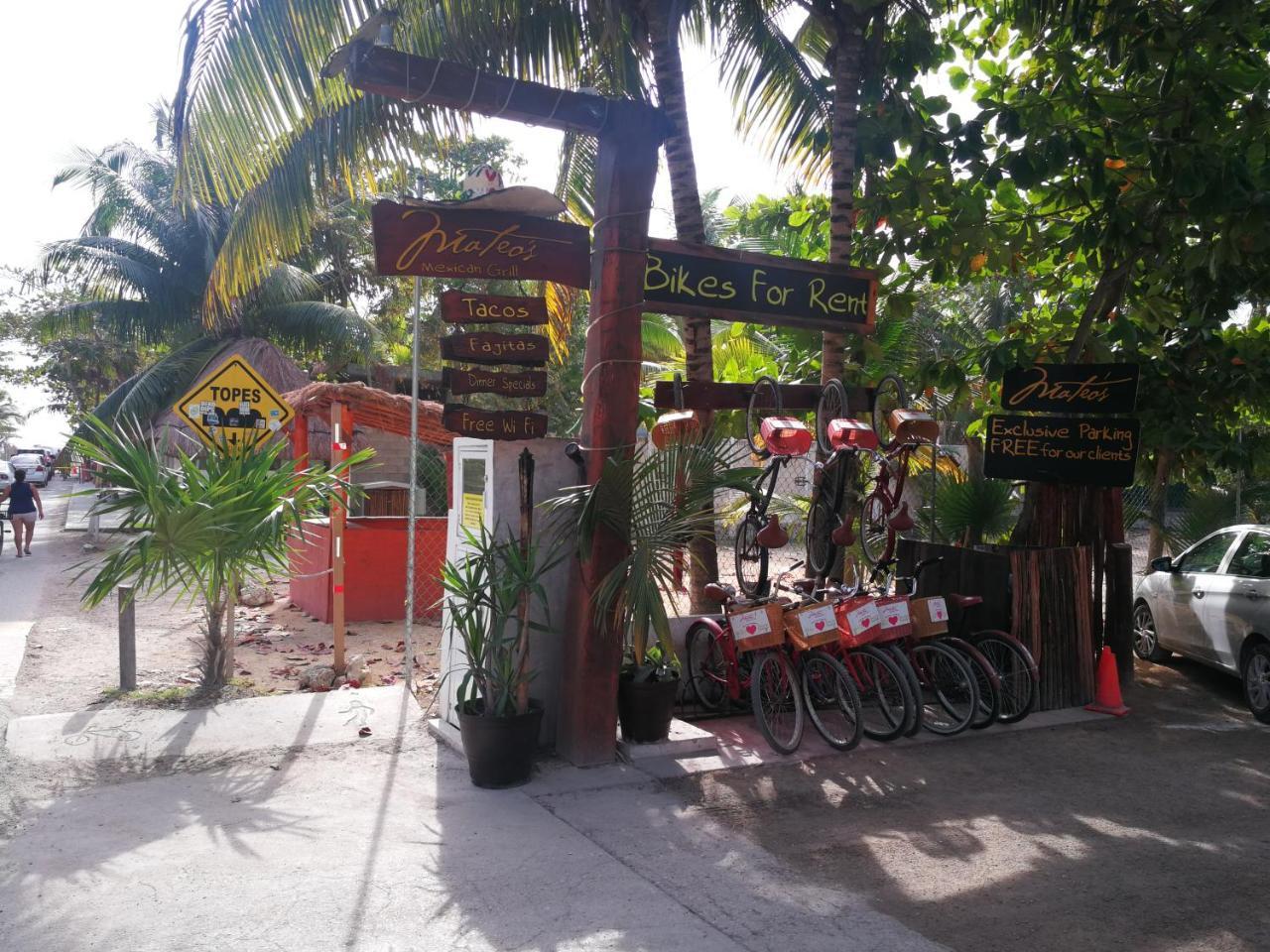 Serena Tulum