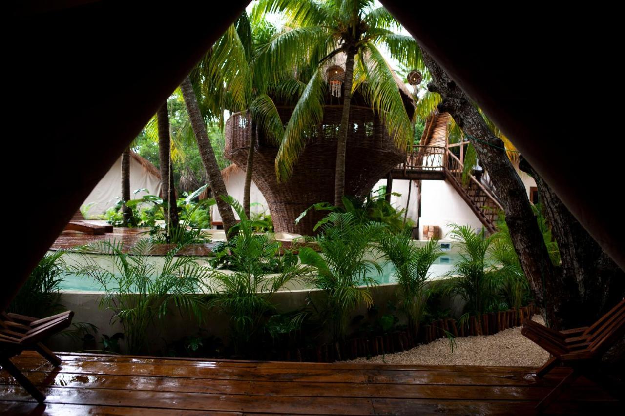 Serena Tulum
