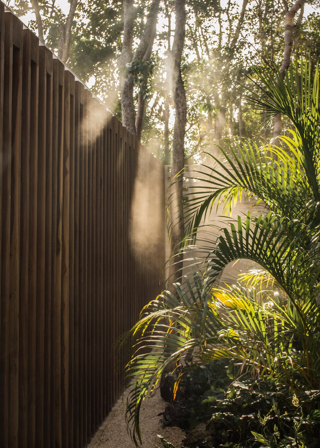 Jungle Keva Tulum