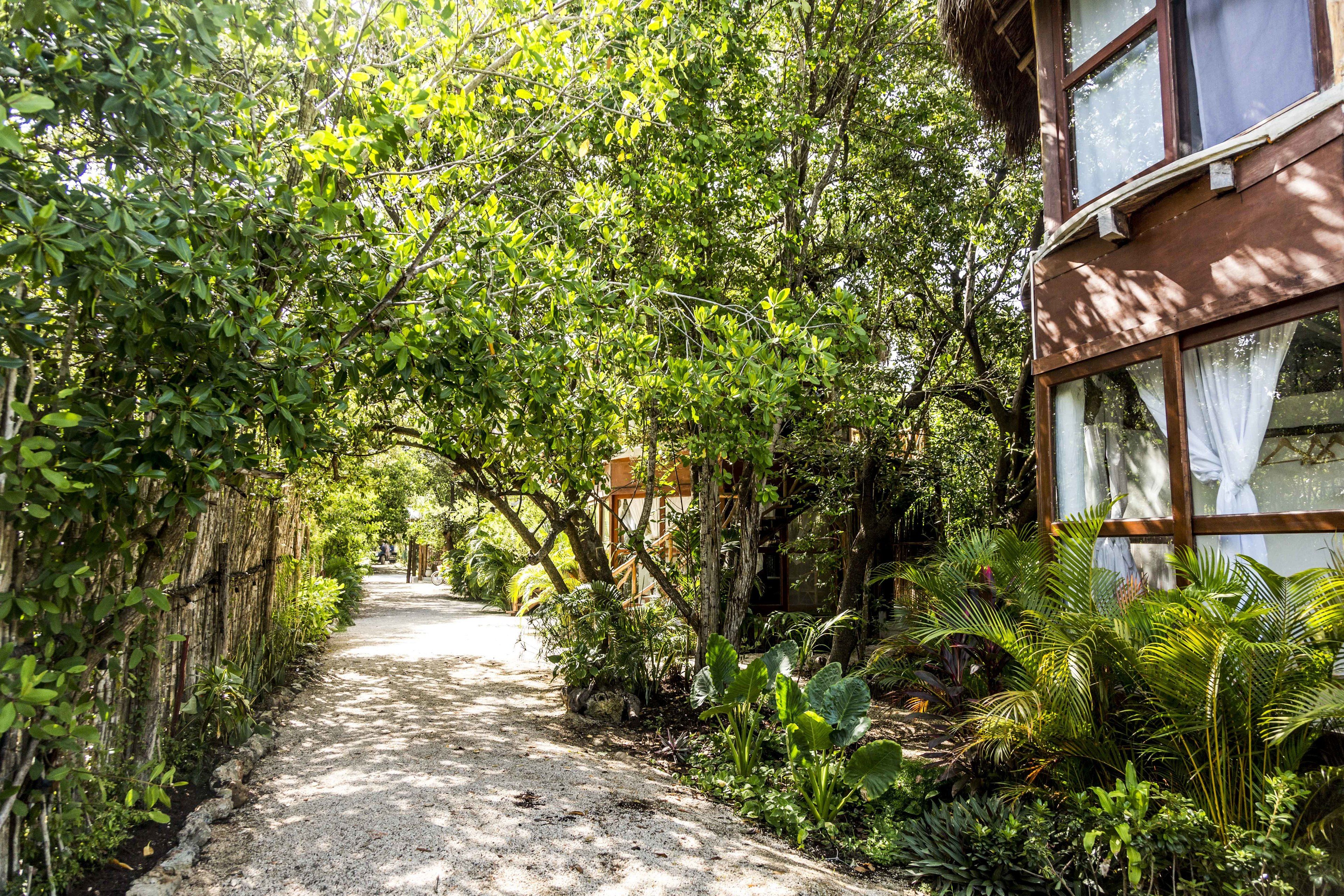 Mamasan Treehouses & Cabins