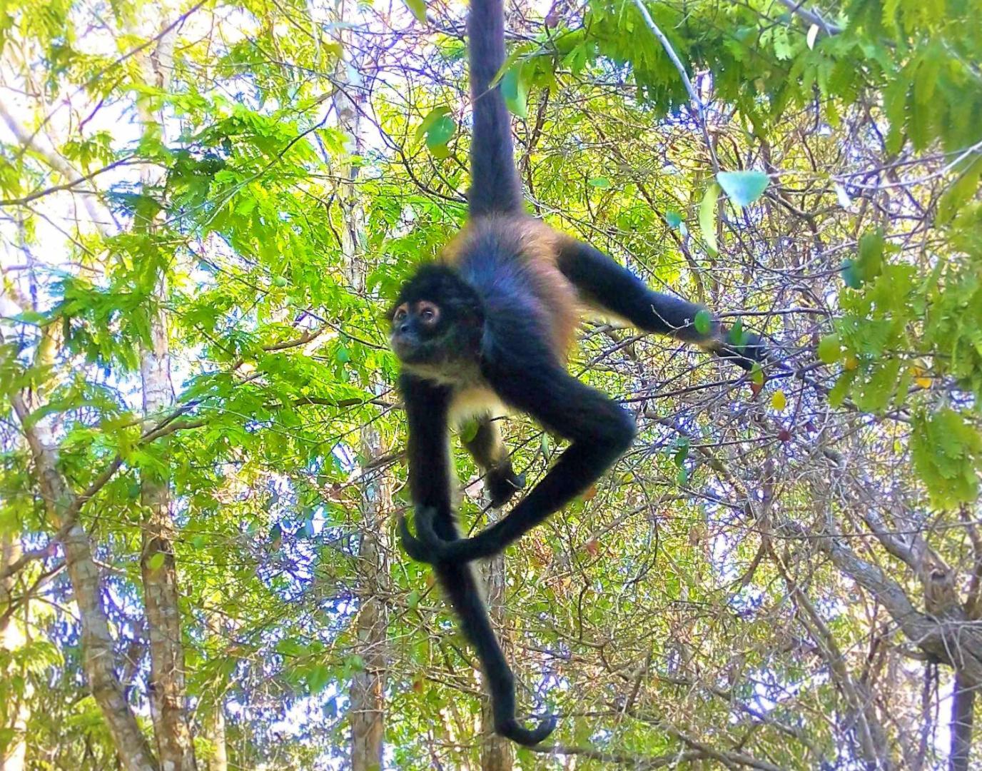 Camp Akumal