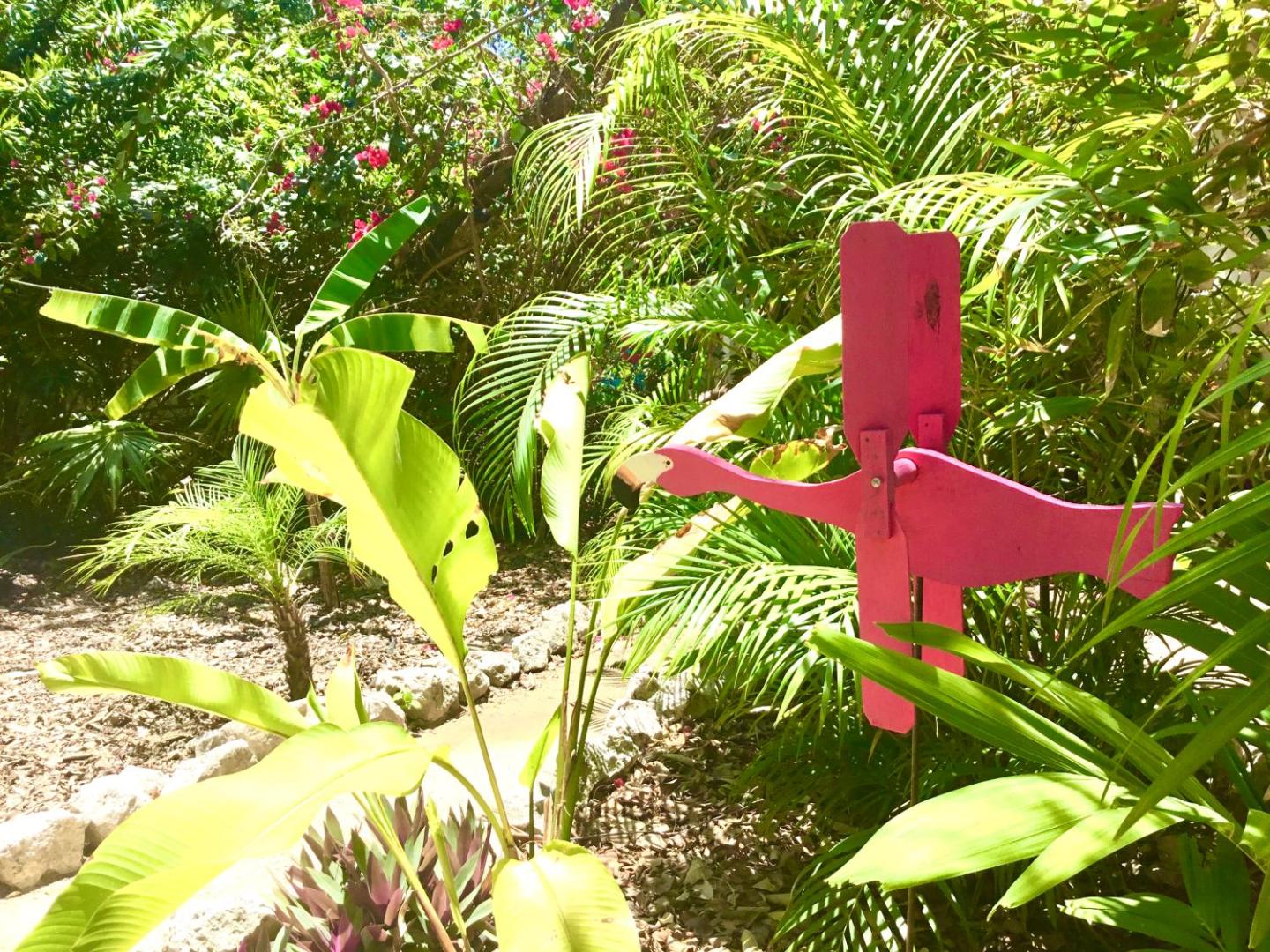 Camp Akumal