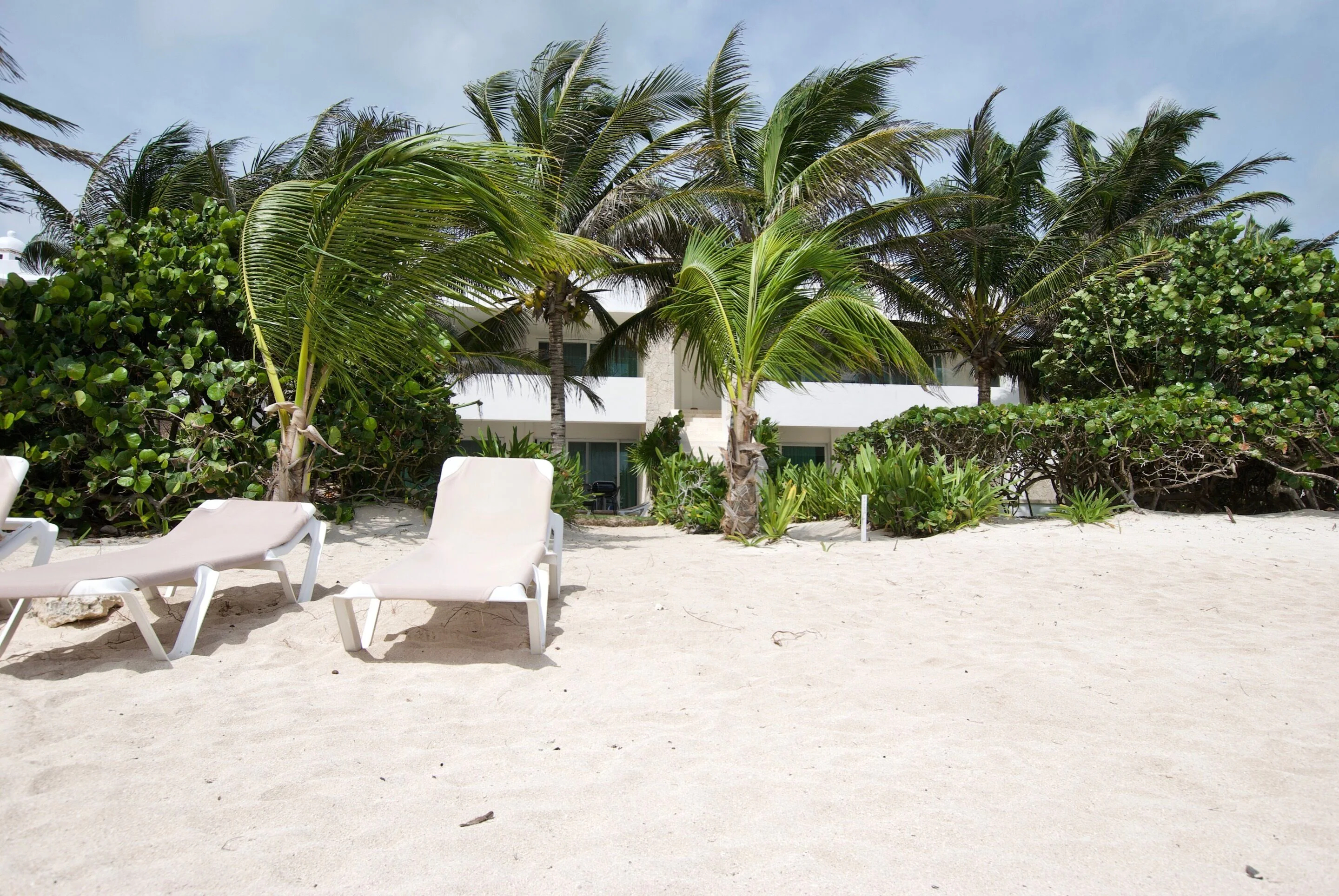 Casa Coral Luxury Condos