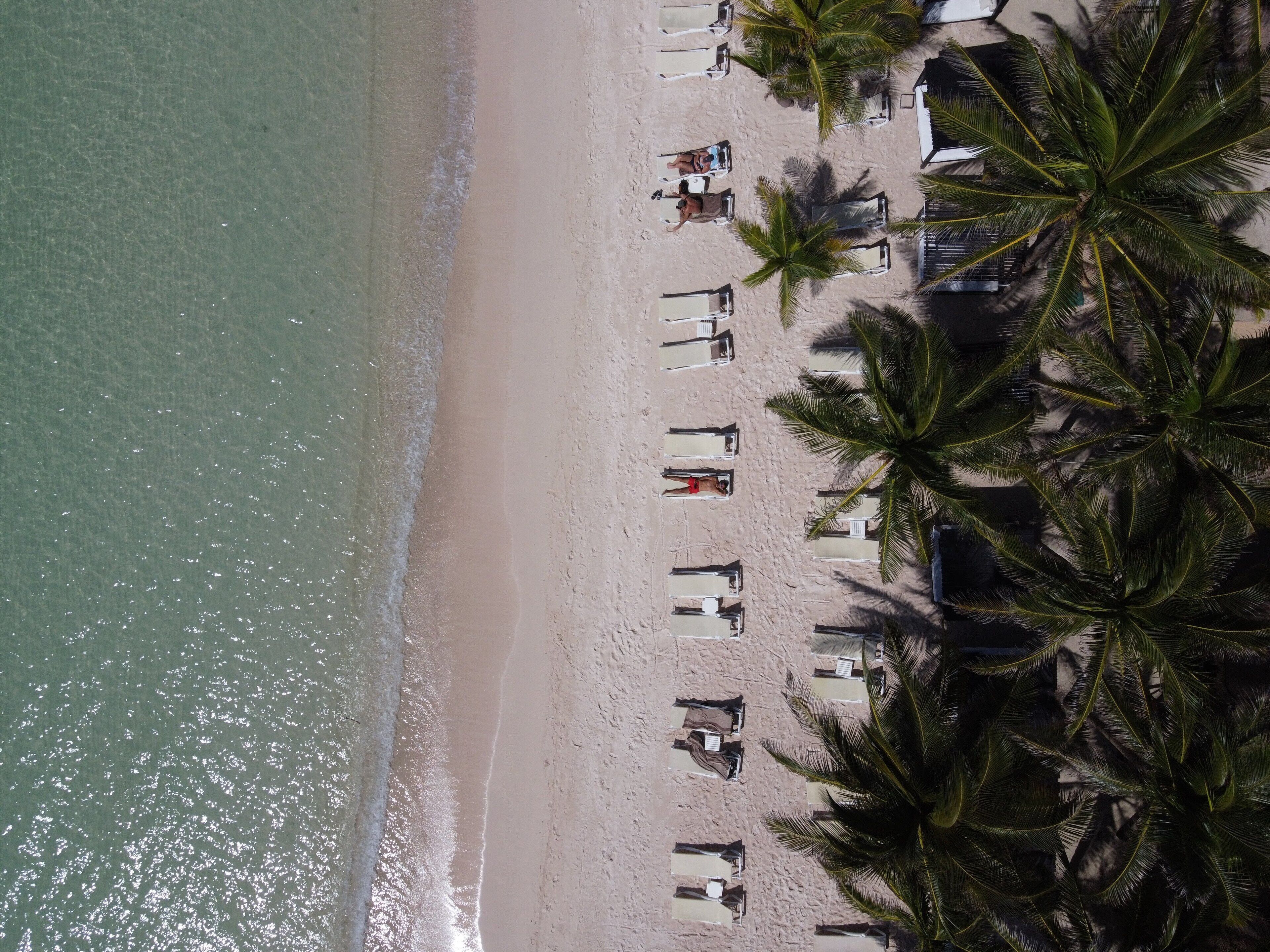 El Dorado Seaside Suites Catamarán, Cenote & More Inclusive