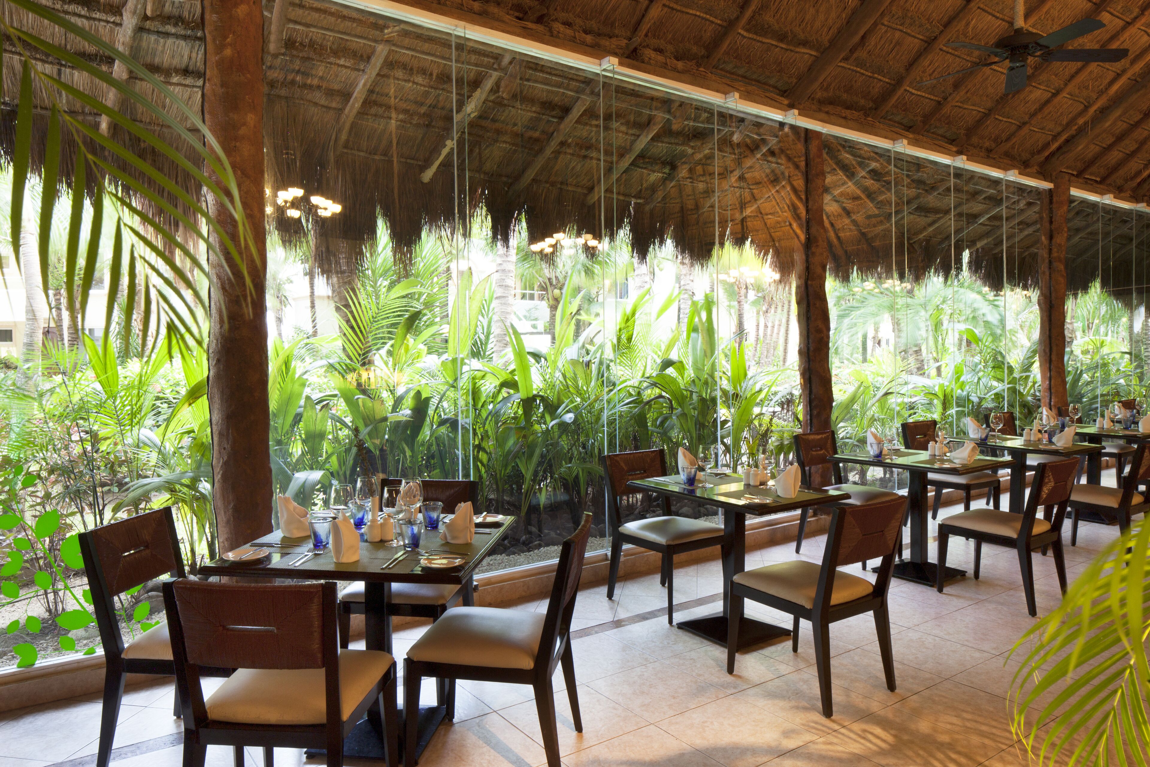 El Dorado Seaside Suites Catamarán, Cenote & More Inclusive