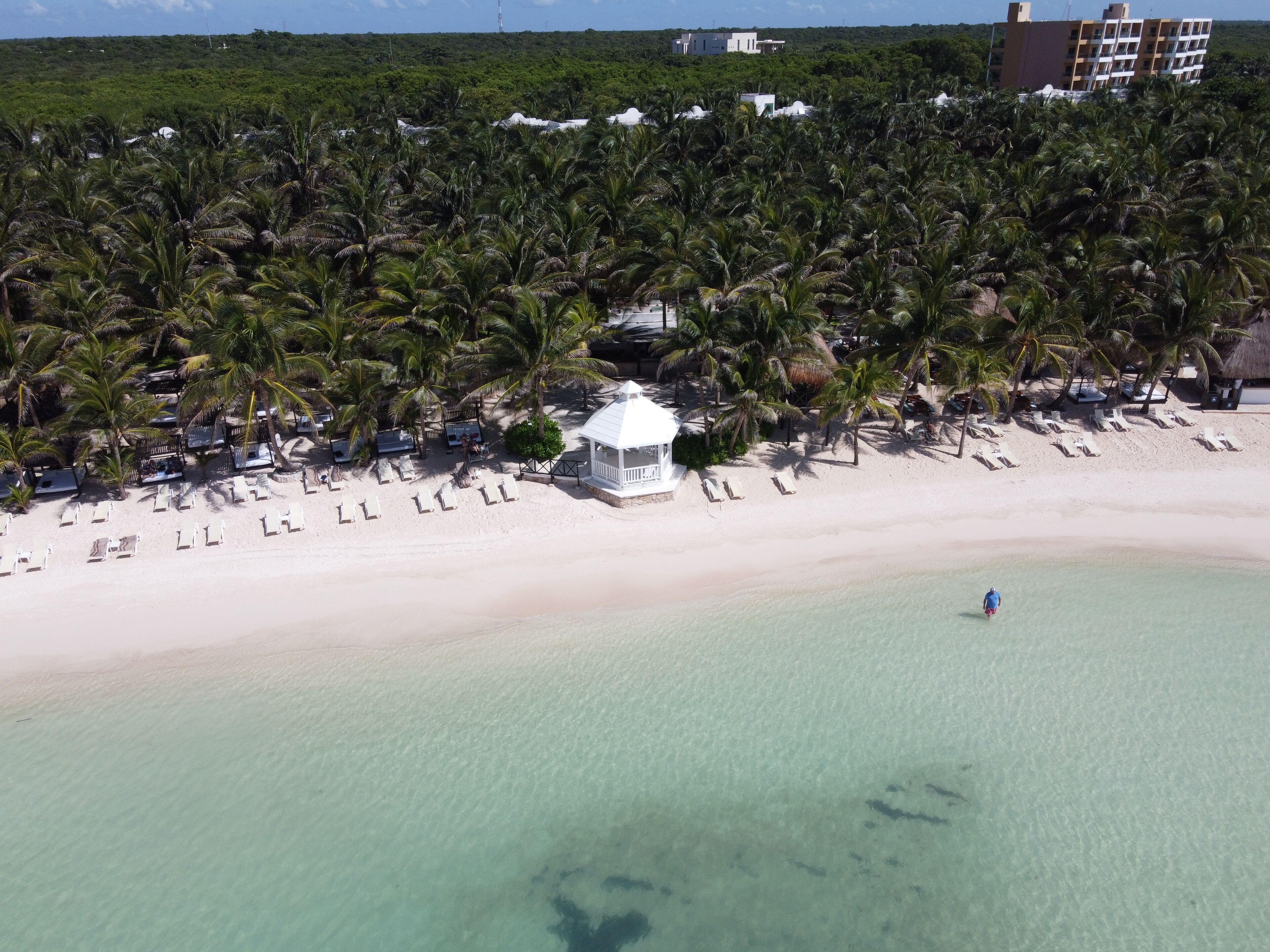 El Dorado Seaside Suites Catamarán, Cenote & More Inclusive