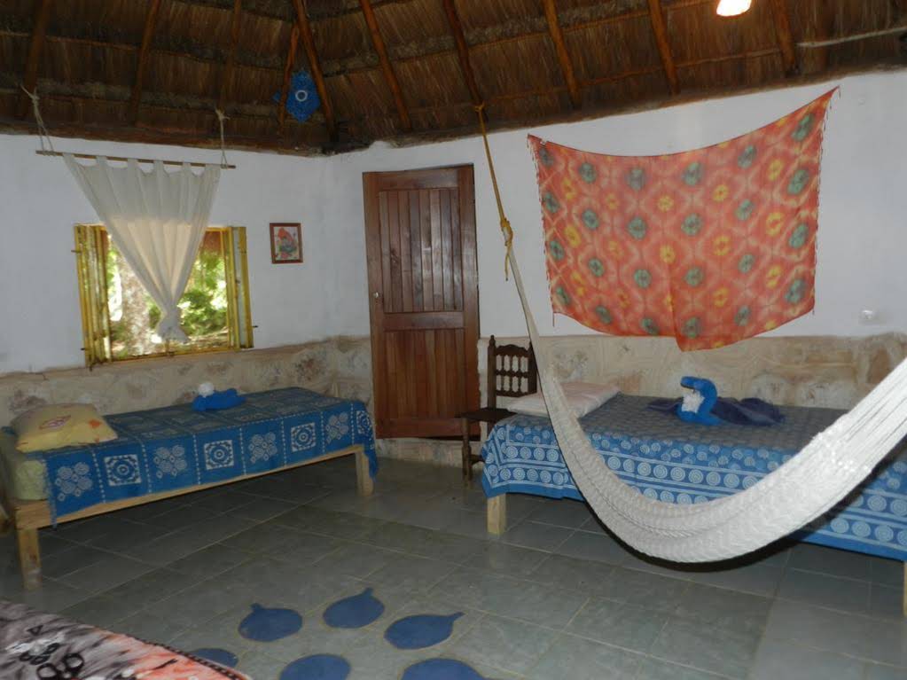 Organic Yoga Mexico