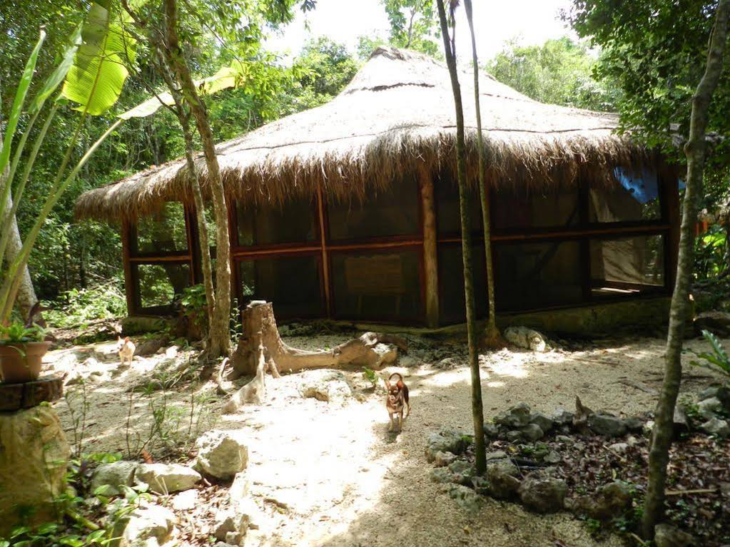 Organic Yoga Mexico