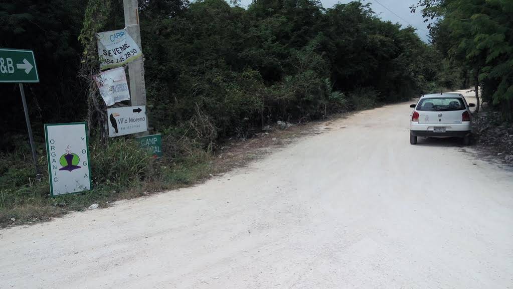 Organic Yoga Mexico