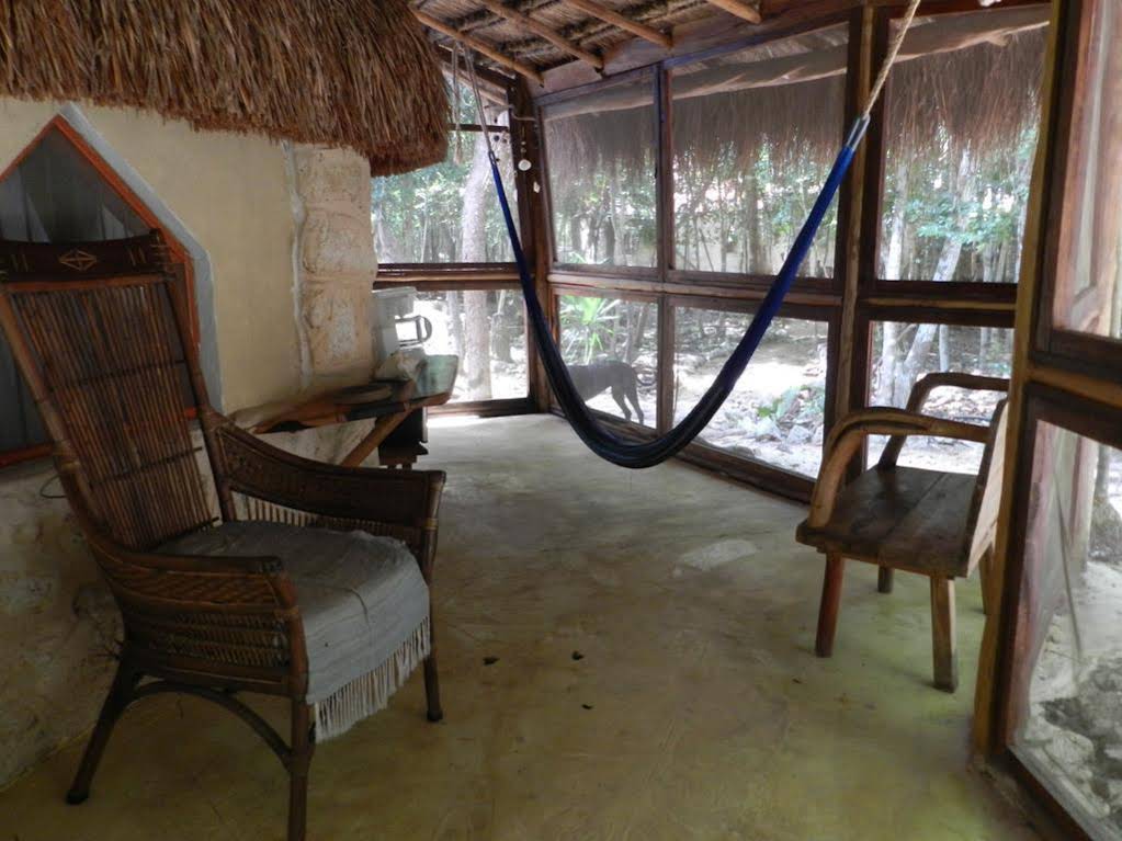 Organic Yoga Mexico