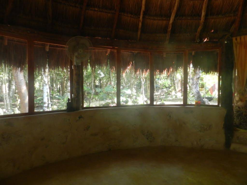 Organic Yoga Mexico