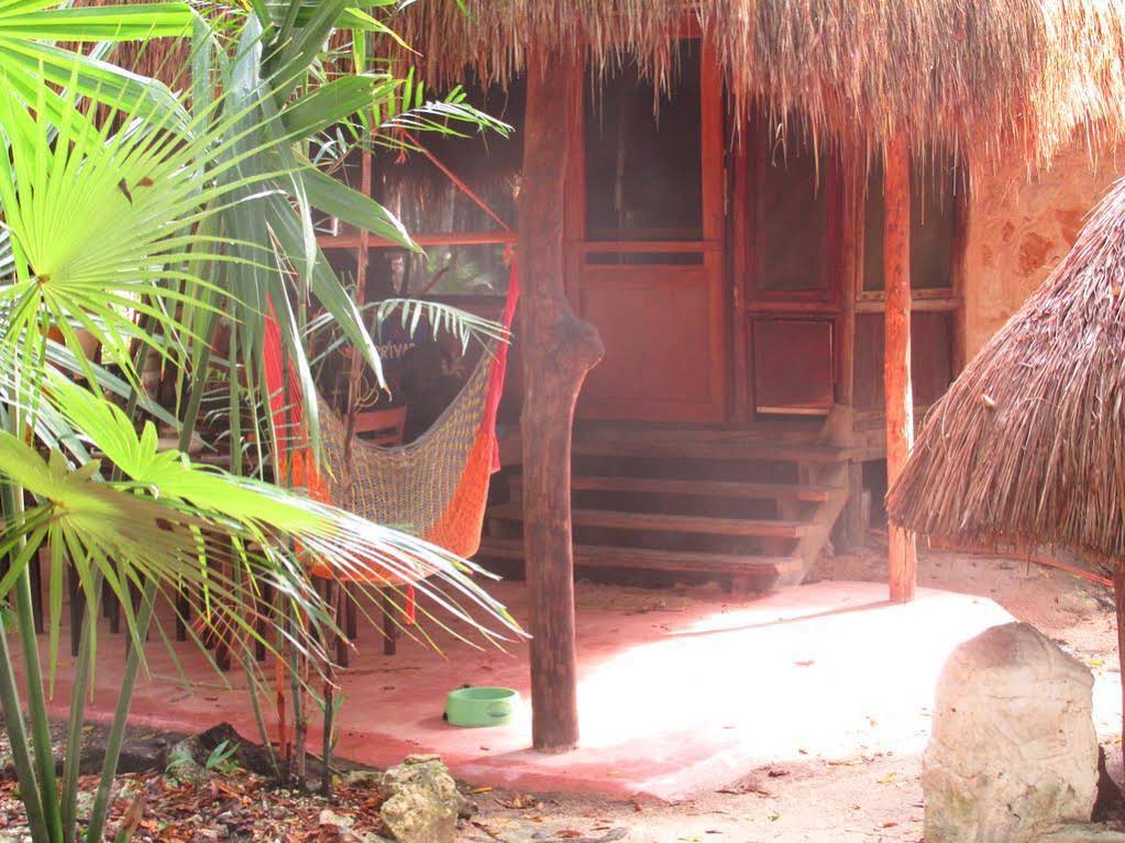 Organic Yoga Mexico