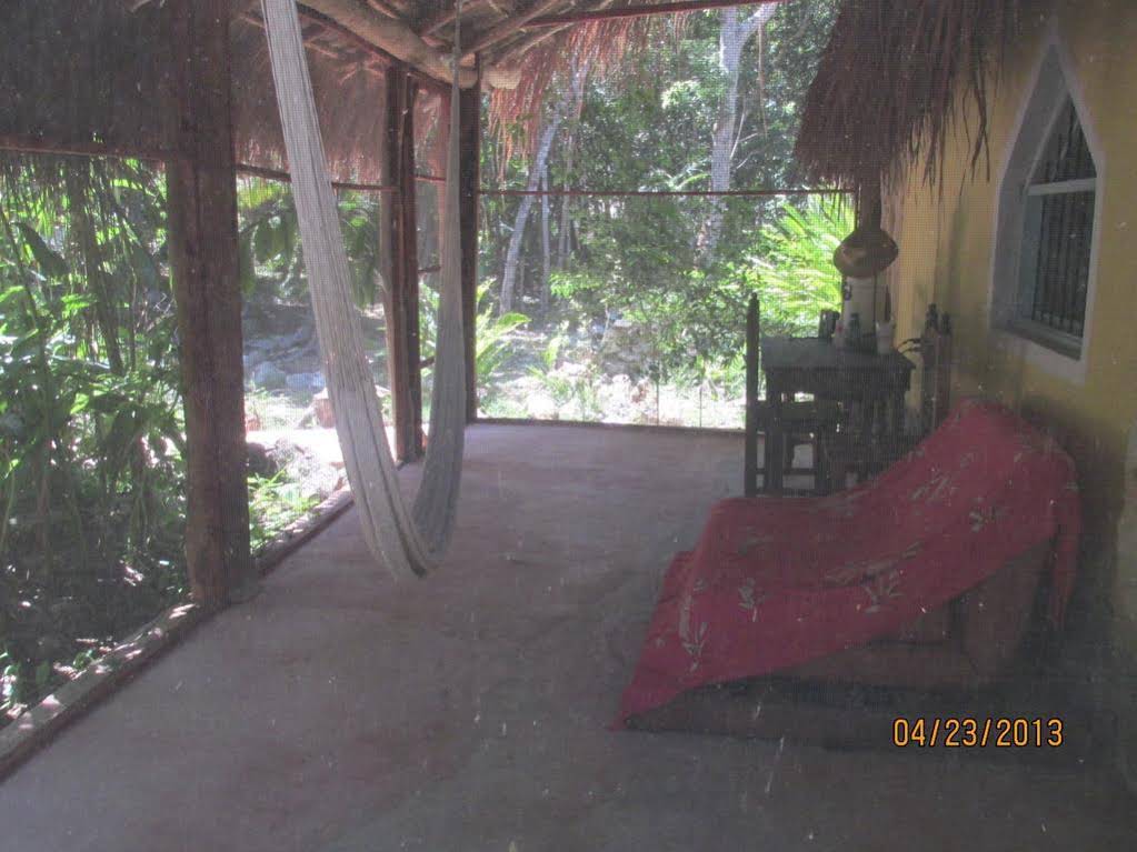 Organic Yoga Mexico