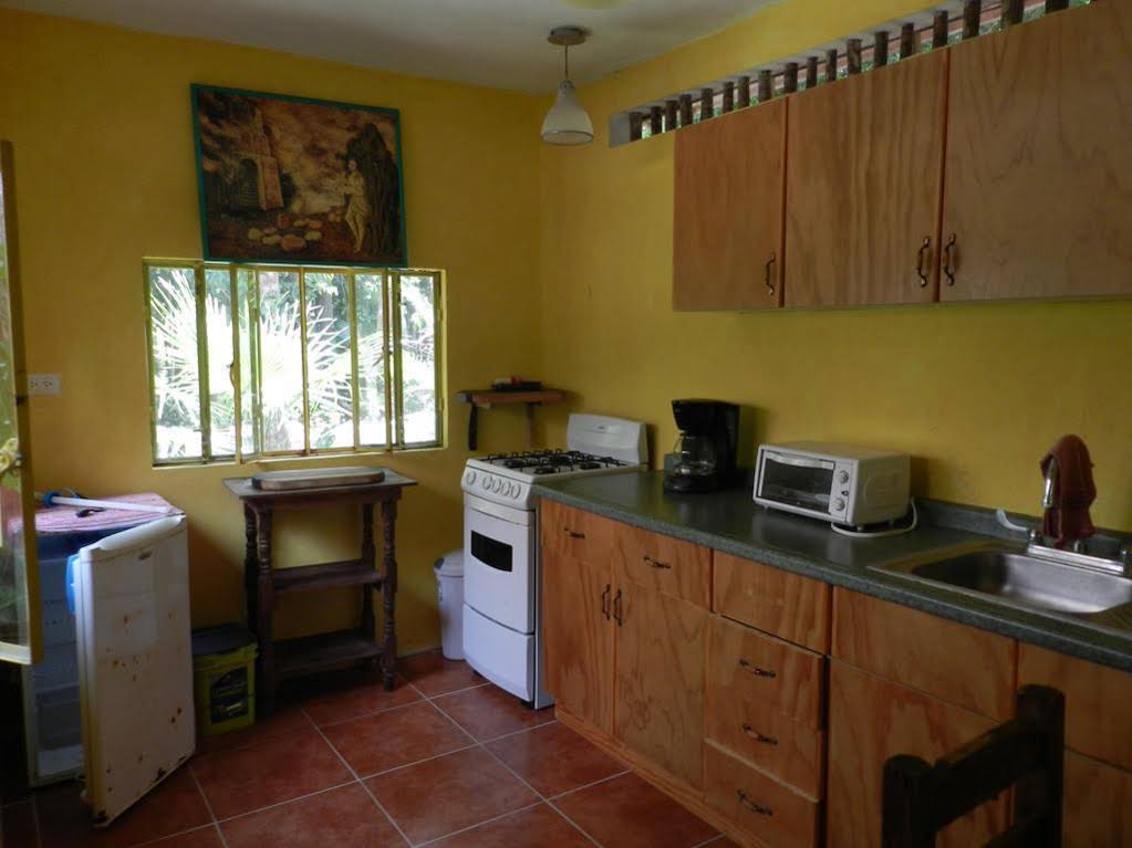 Organic Yoga Mexico