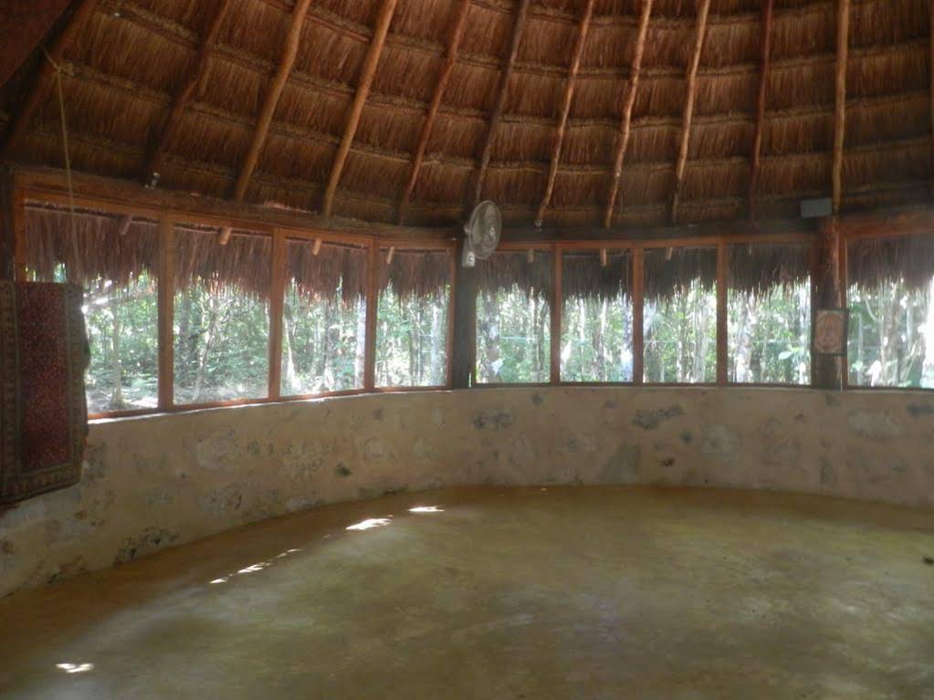 Organic Yoga Mexico