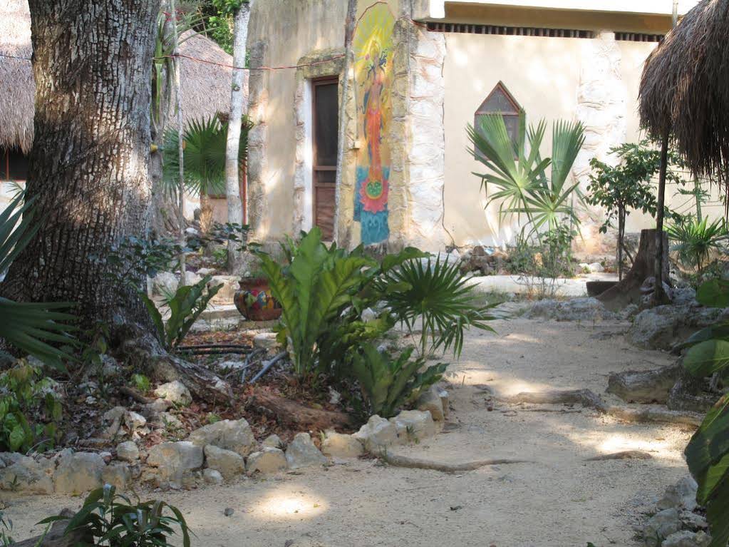 Organic Yoga Mexico